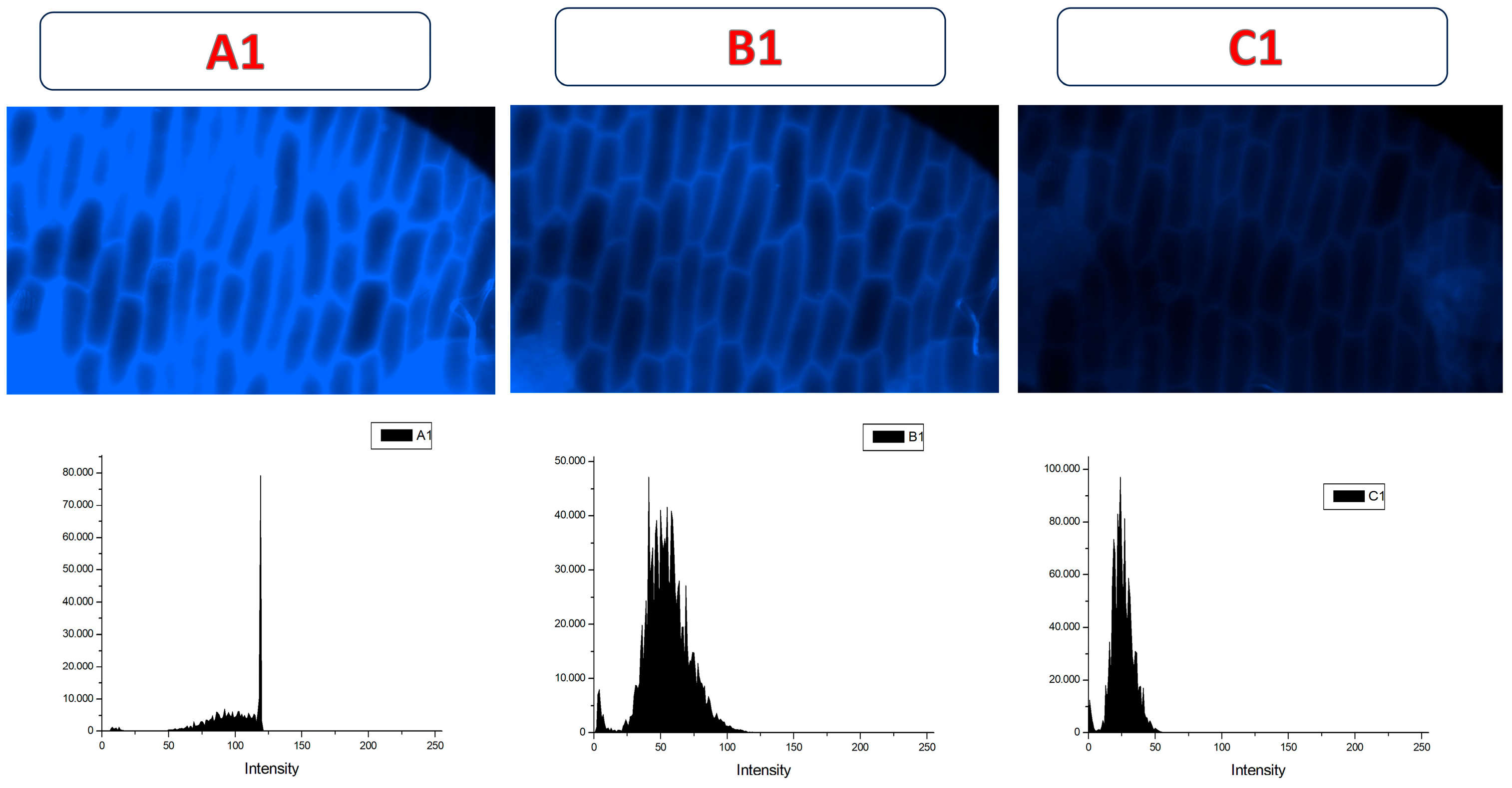 Chemosensors 13 00326 g014 Chemosensors 13 00326 g014