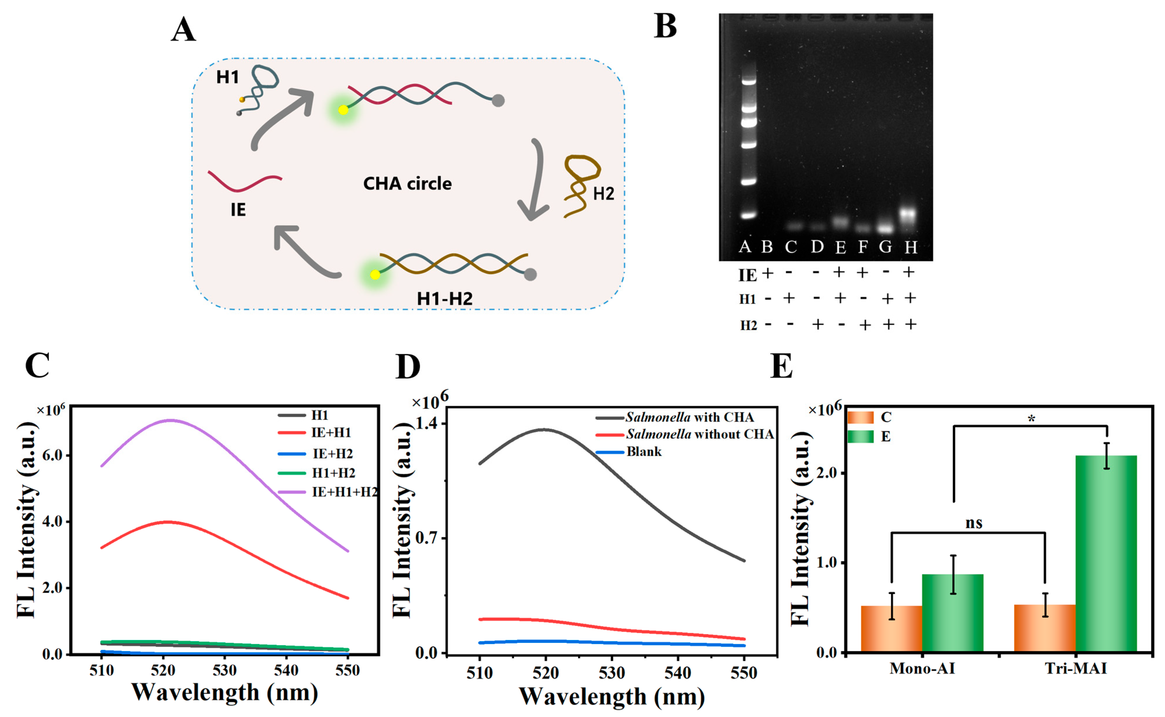 Chemosensors 13 00334 g002 Chemosensors 13 00334 g002