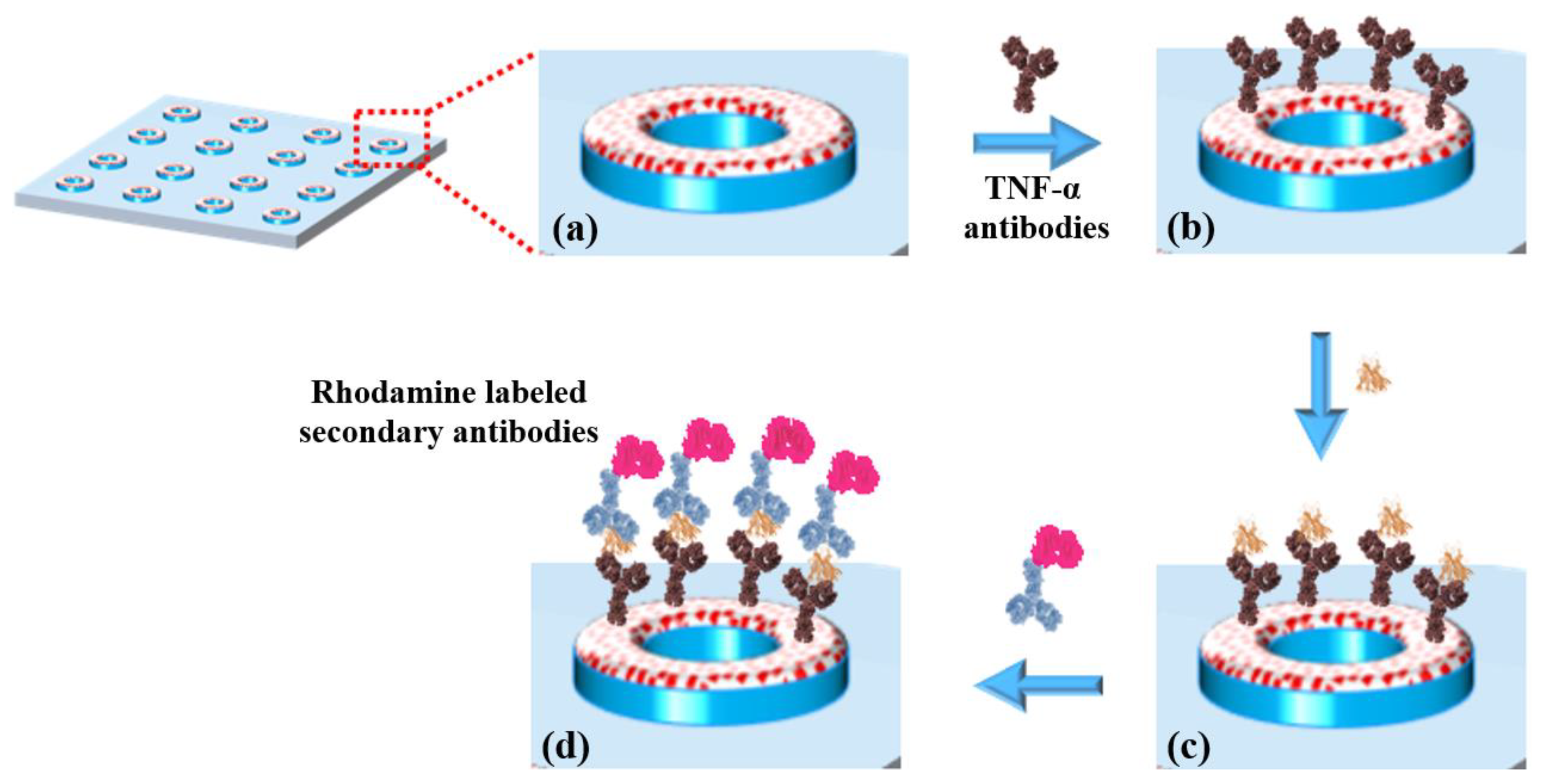 Chemosensors 13 00338 g003 Chemosensors 13 00338 g003