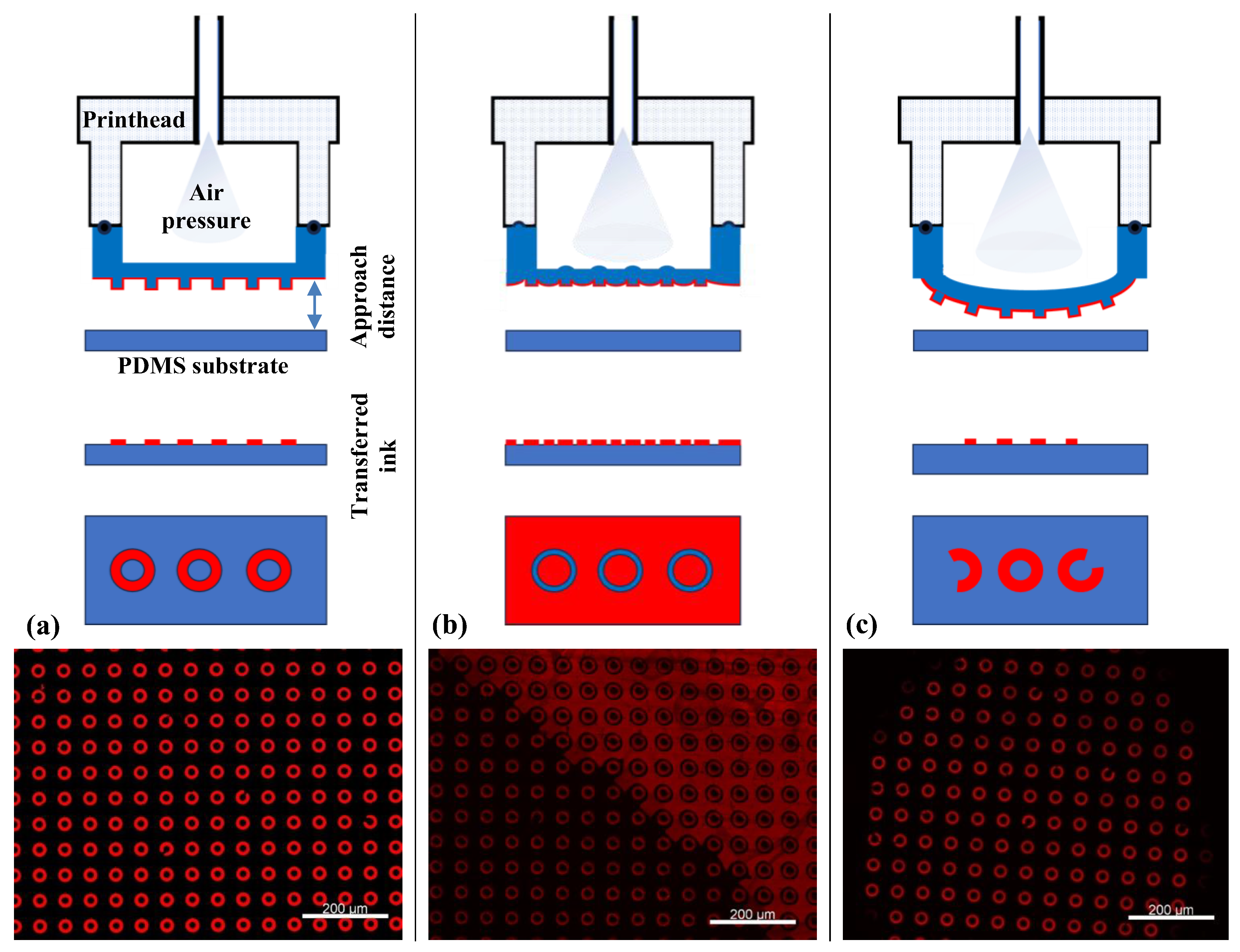 Chemosensors 13 00338 g004 Chemosensors 13 00338 g004