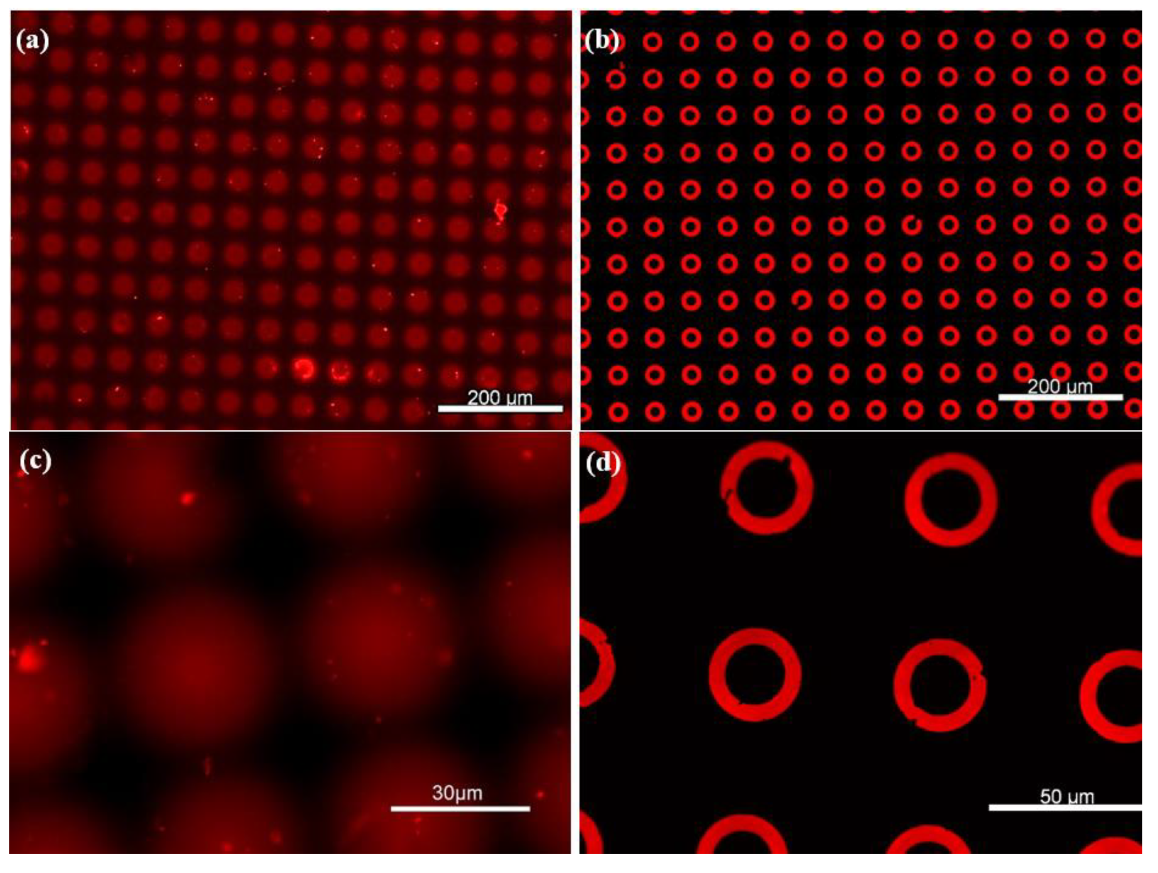 Chemosensors 13 00338 g005 Chemosensors 13 00338 g005