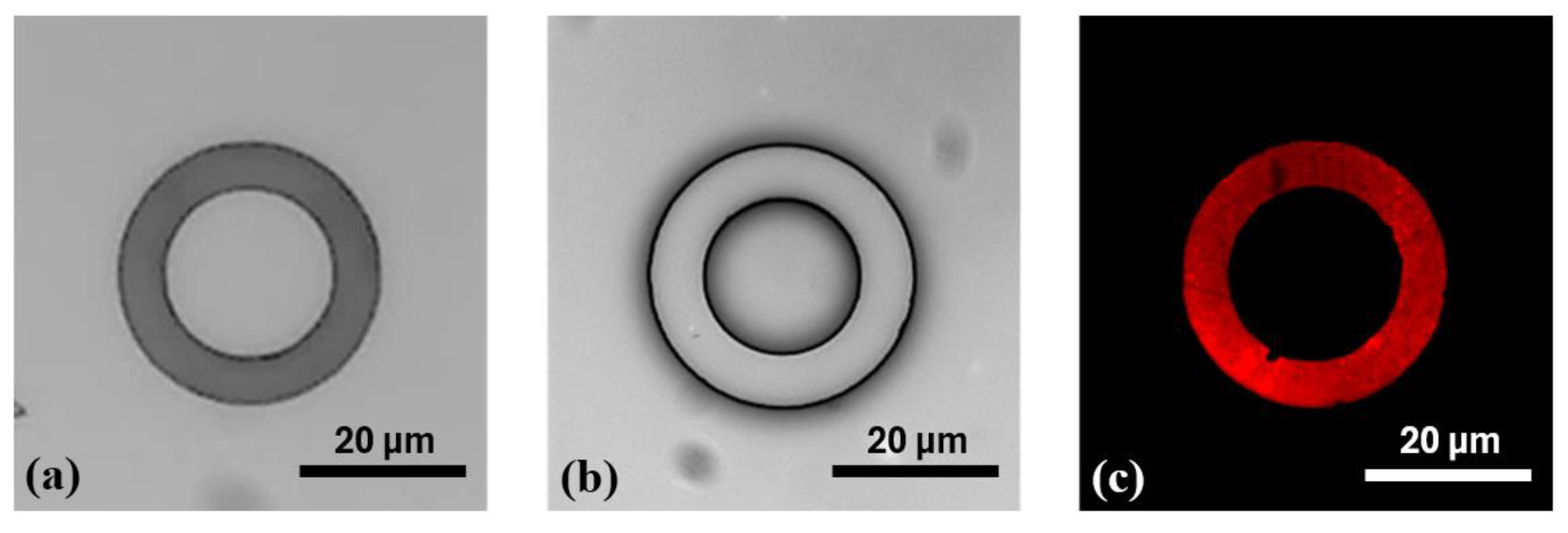 Chemosensors 13 00338 g006 Chemosensors 13 00338 g006