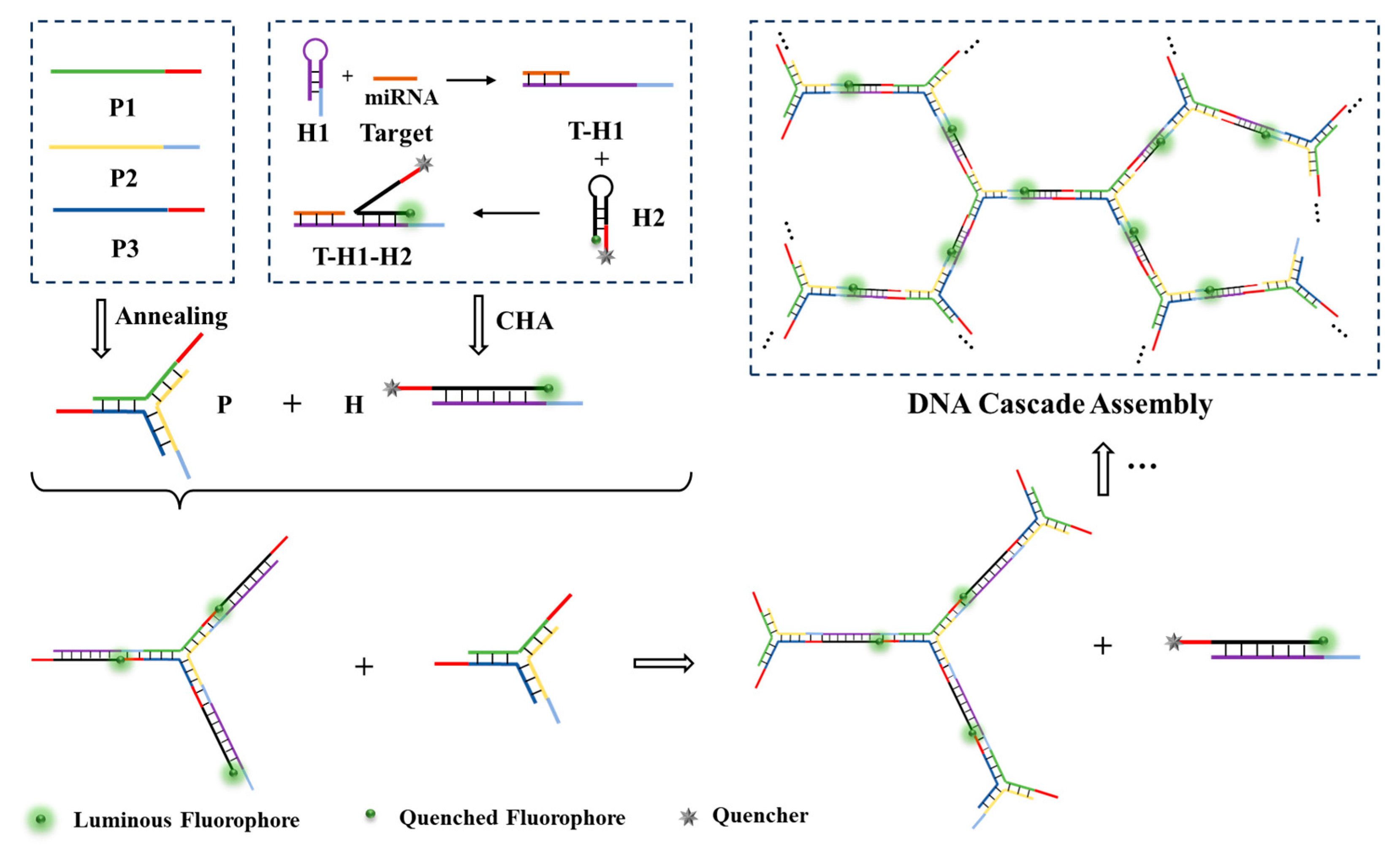 Chemosensors 13 00343 g002 Chemosensors 13 00343 g002
