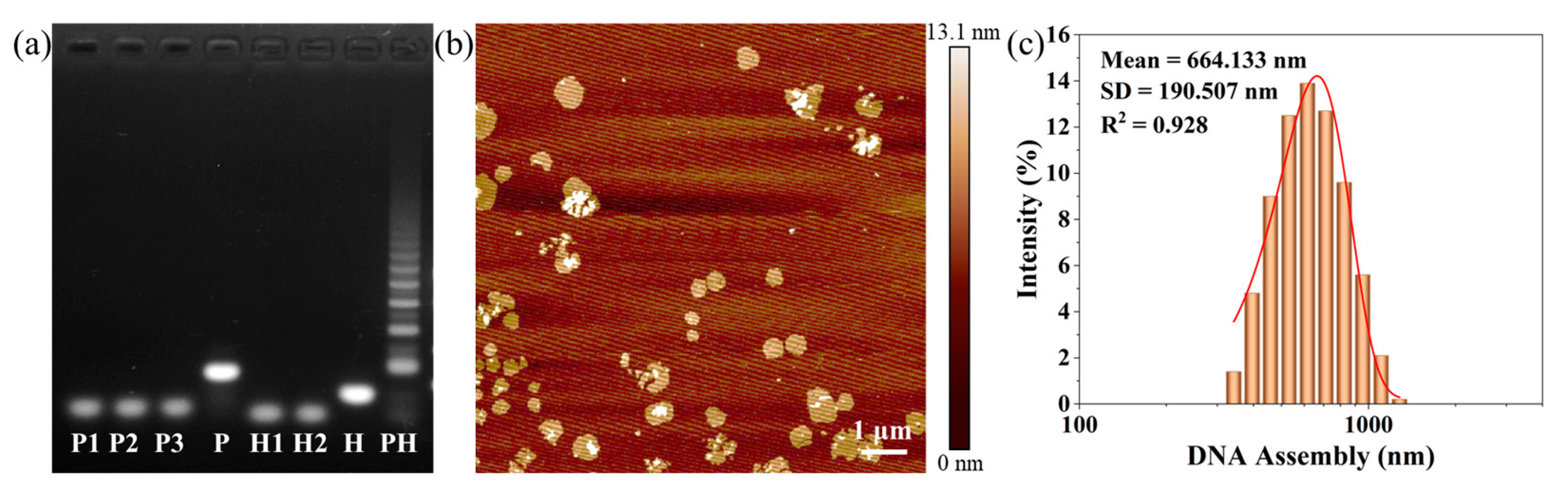 Chemosensors 13 00343 g004 Chemosensors 13 00343 g004