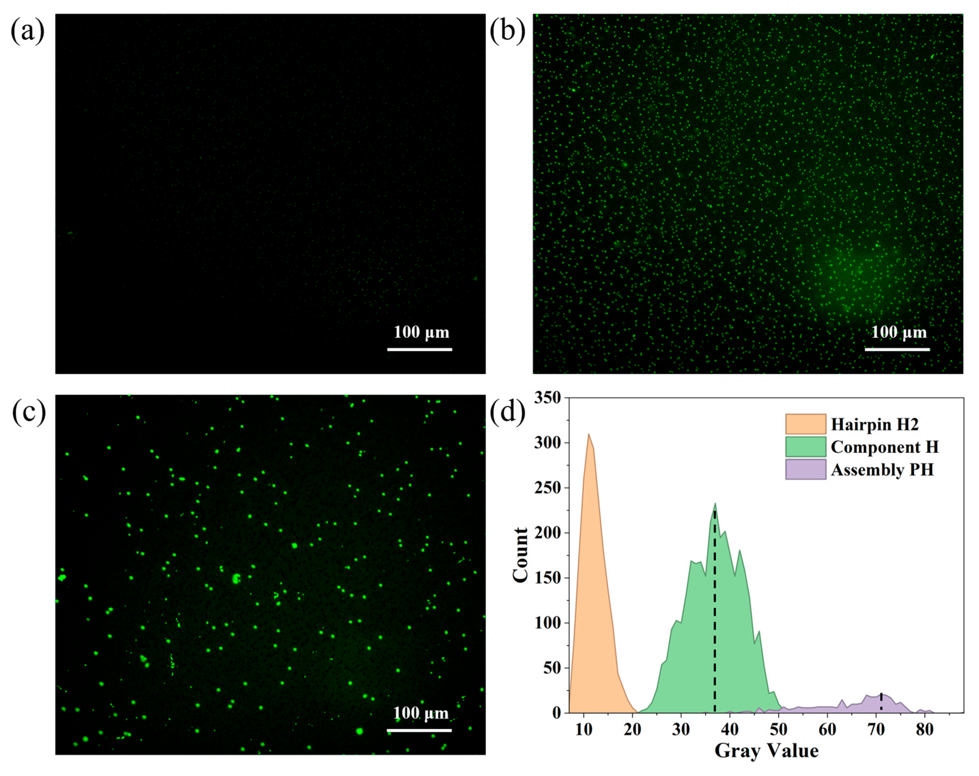Chemosensors 13 00343 g007 Chemosensors 13 00343 g007