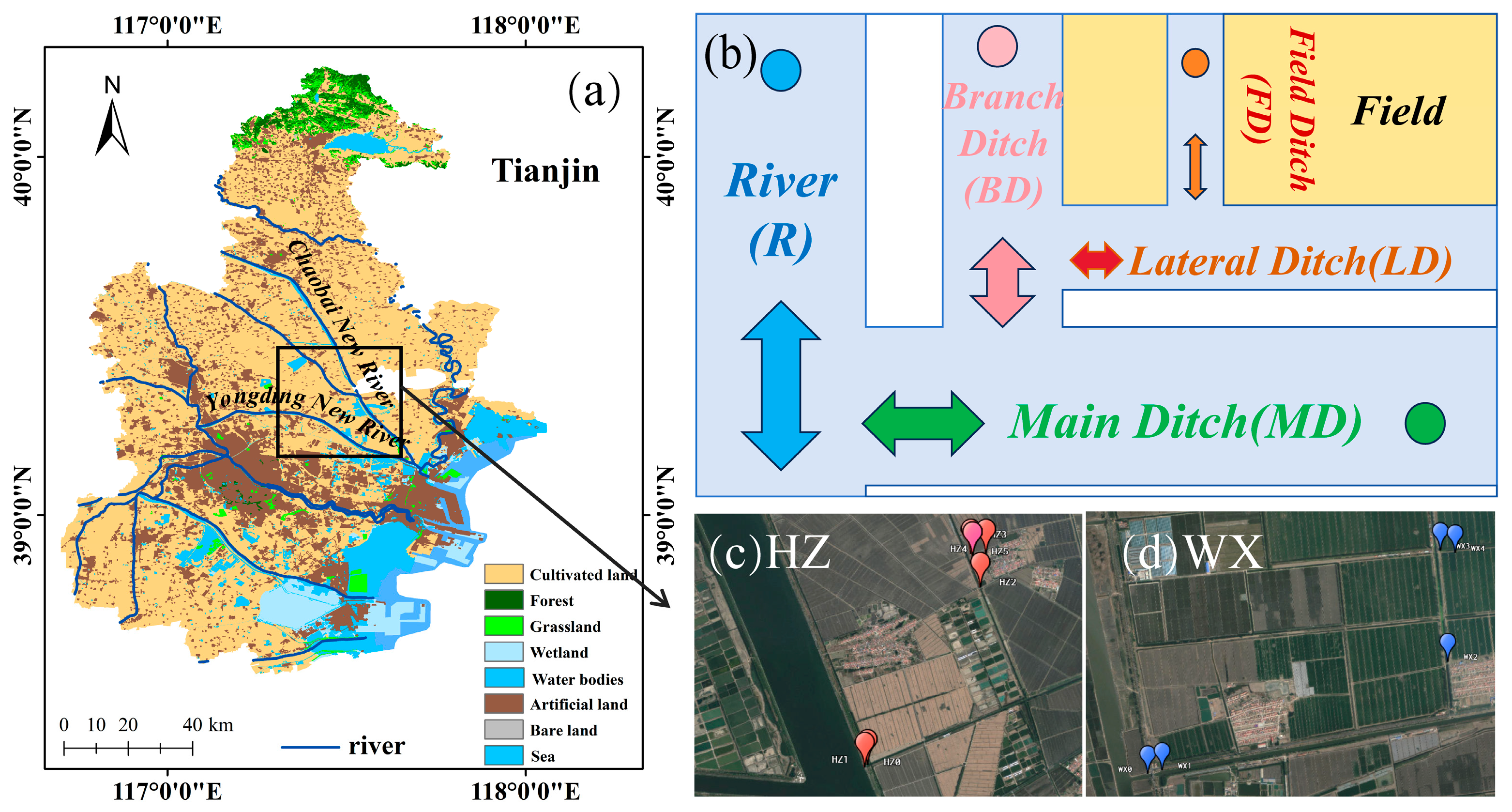 Chemosensors 13 00346 g001 Chemosensors 13 00346 g001