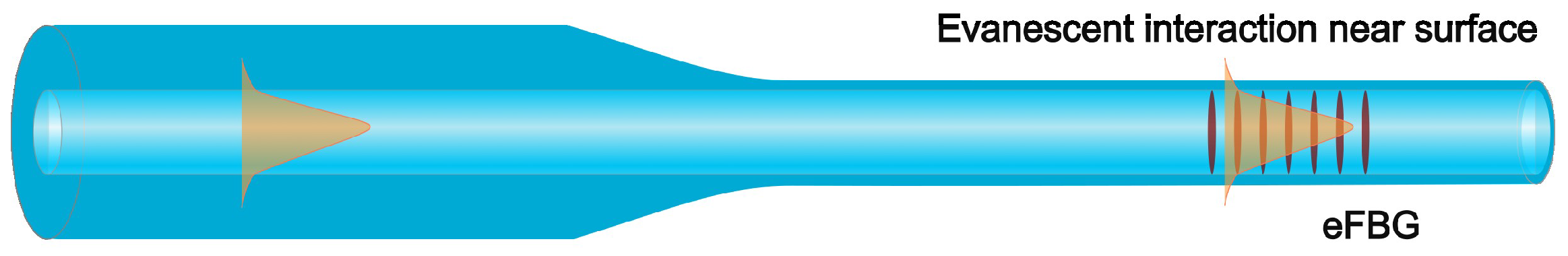 Chemosensors 13 00348 g002