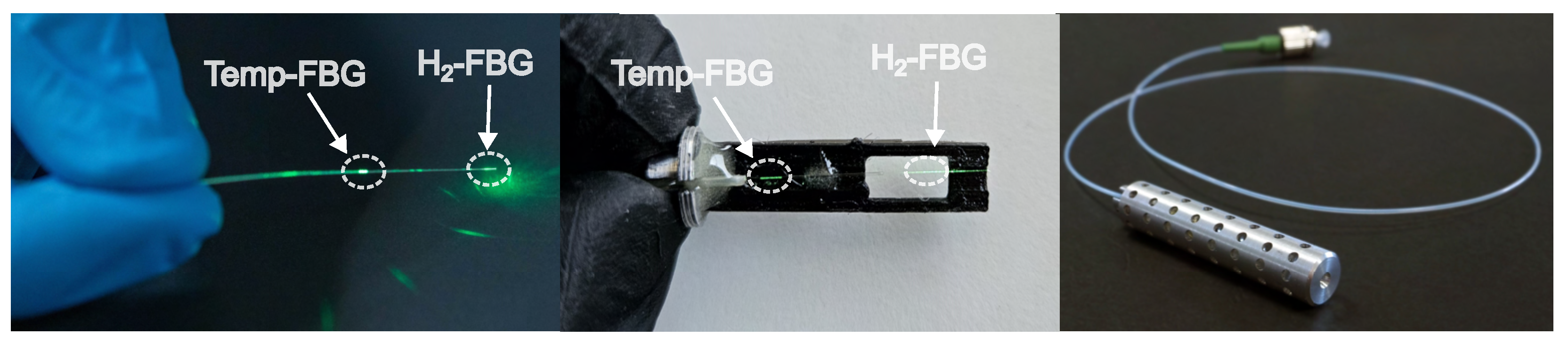 Chemosensors 13 00348 g004
