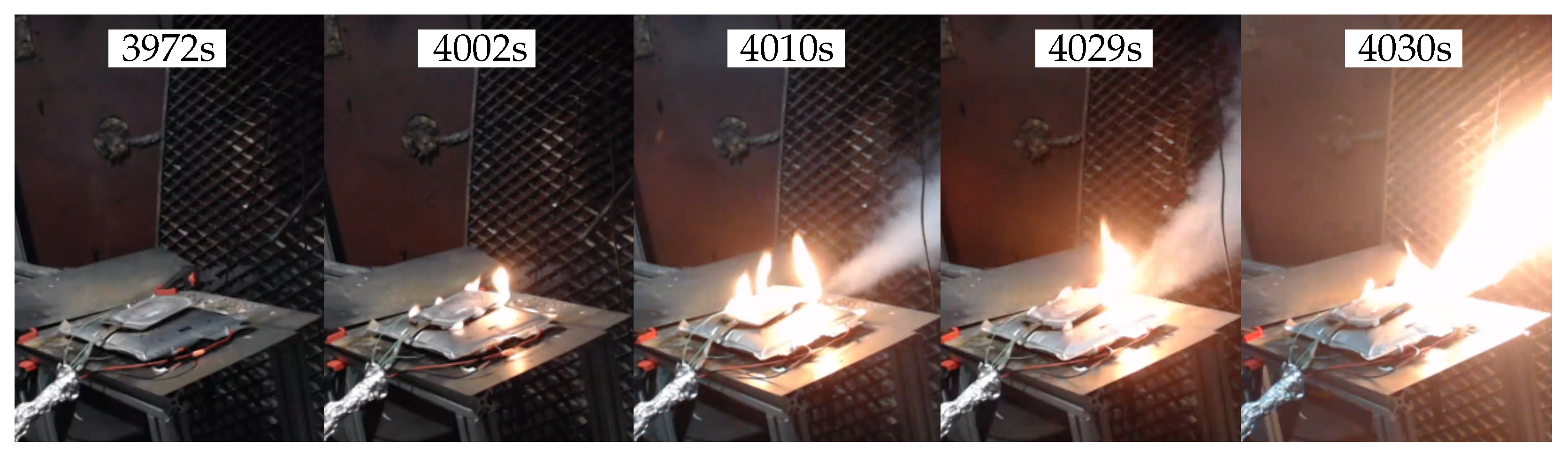 Chemosensors 13 00348 g005