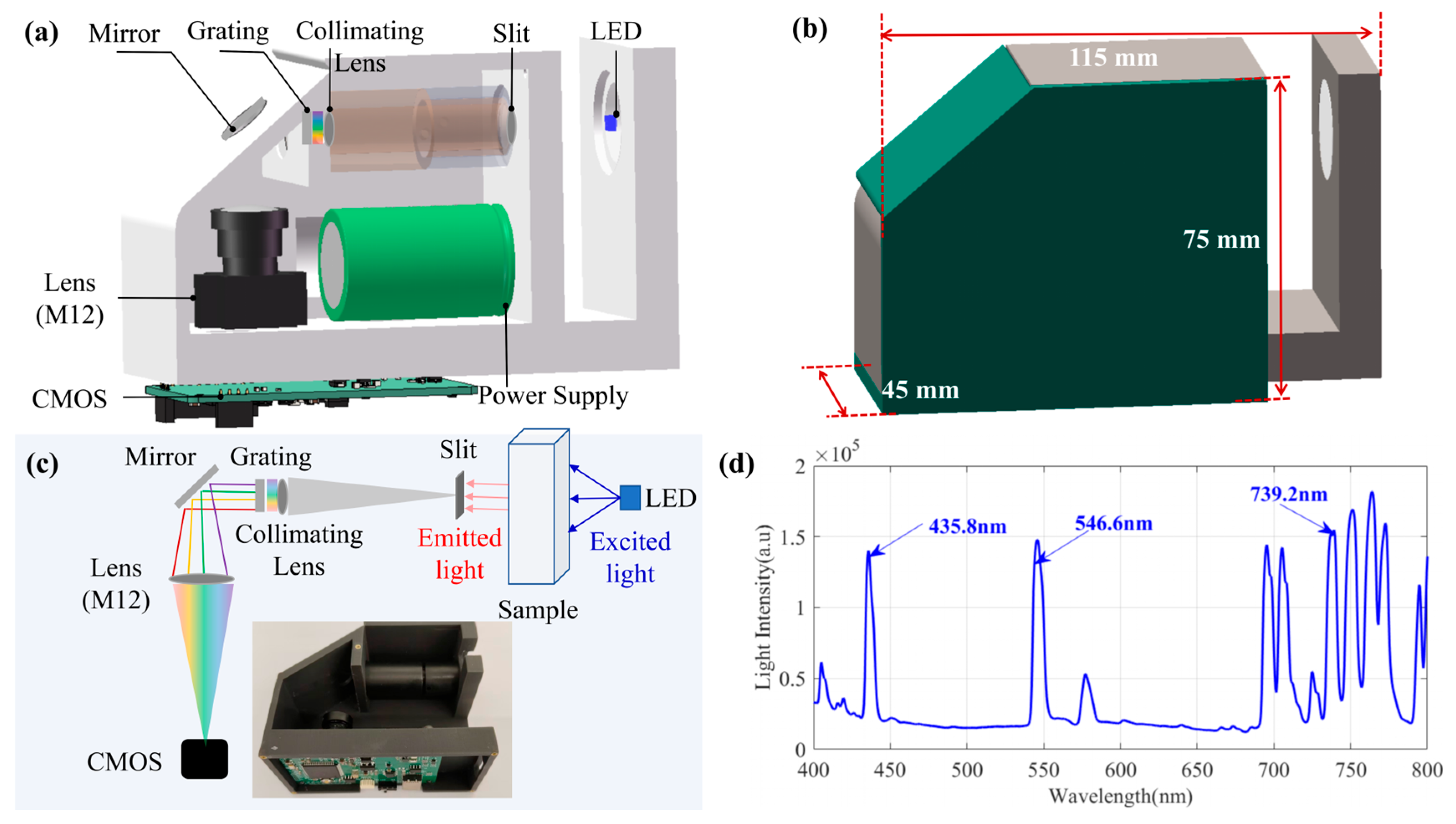 Chemosensors 13 00359 g001