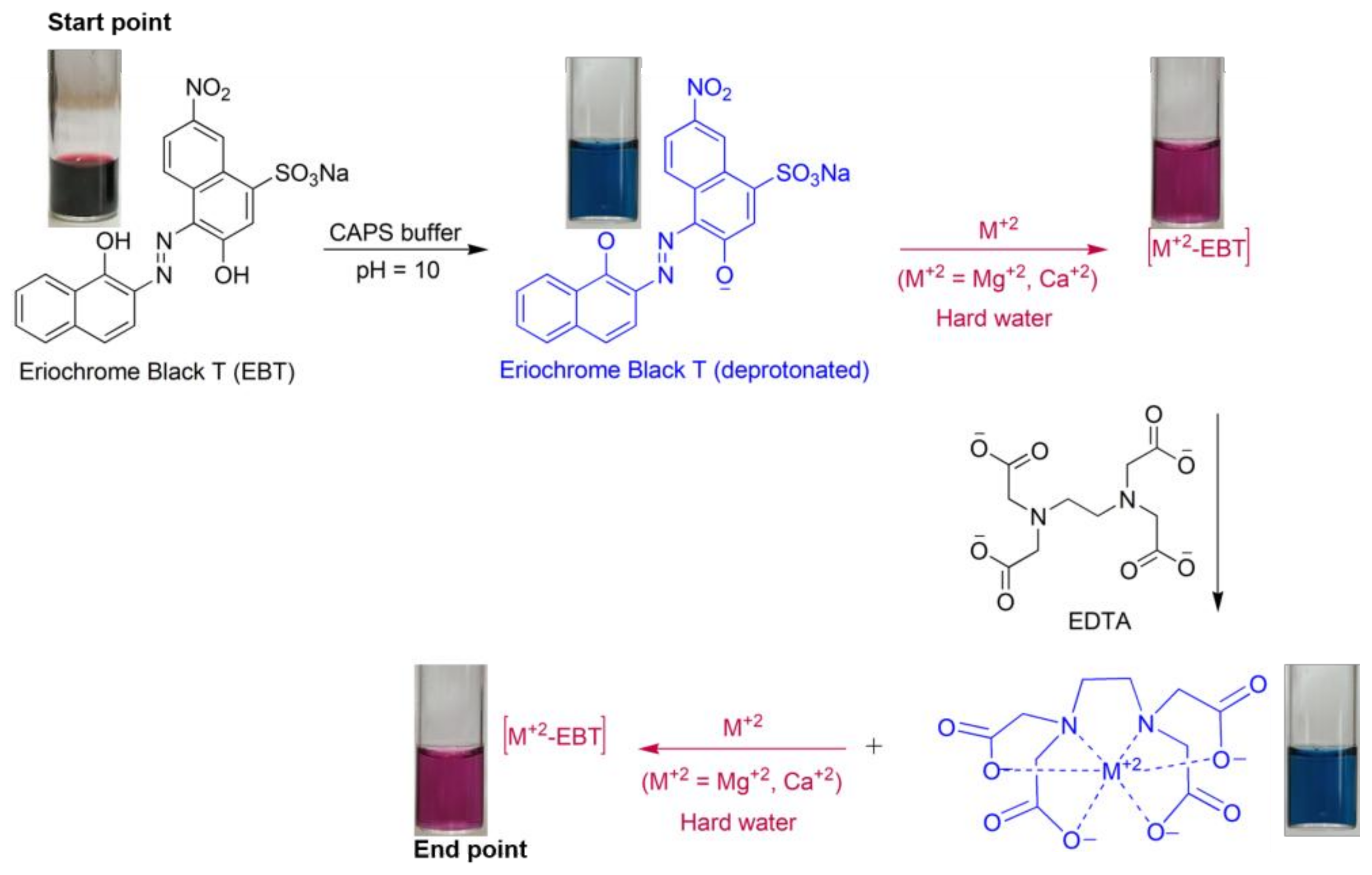 Chemosensors 13 00365 g005