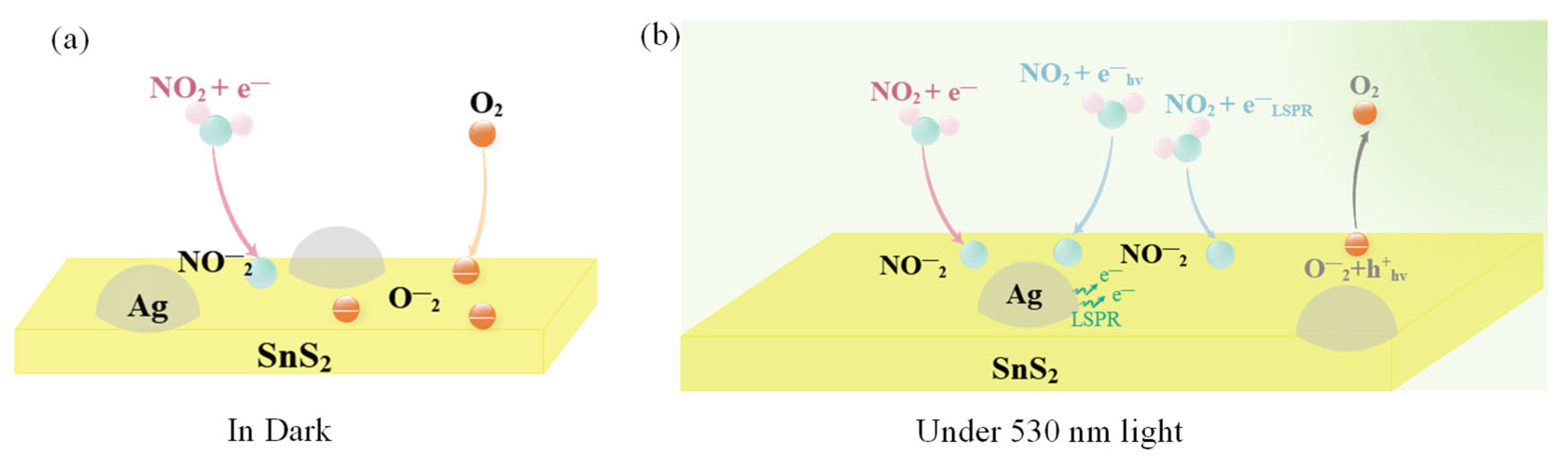 Chemosensors 13 00368 g010 Chemosensors 13 00368 g010