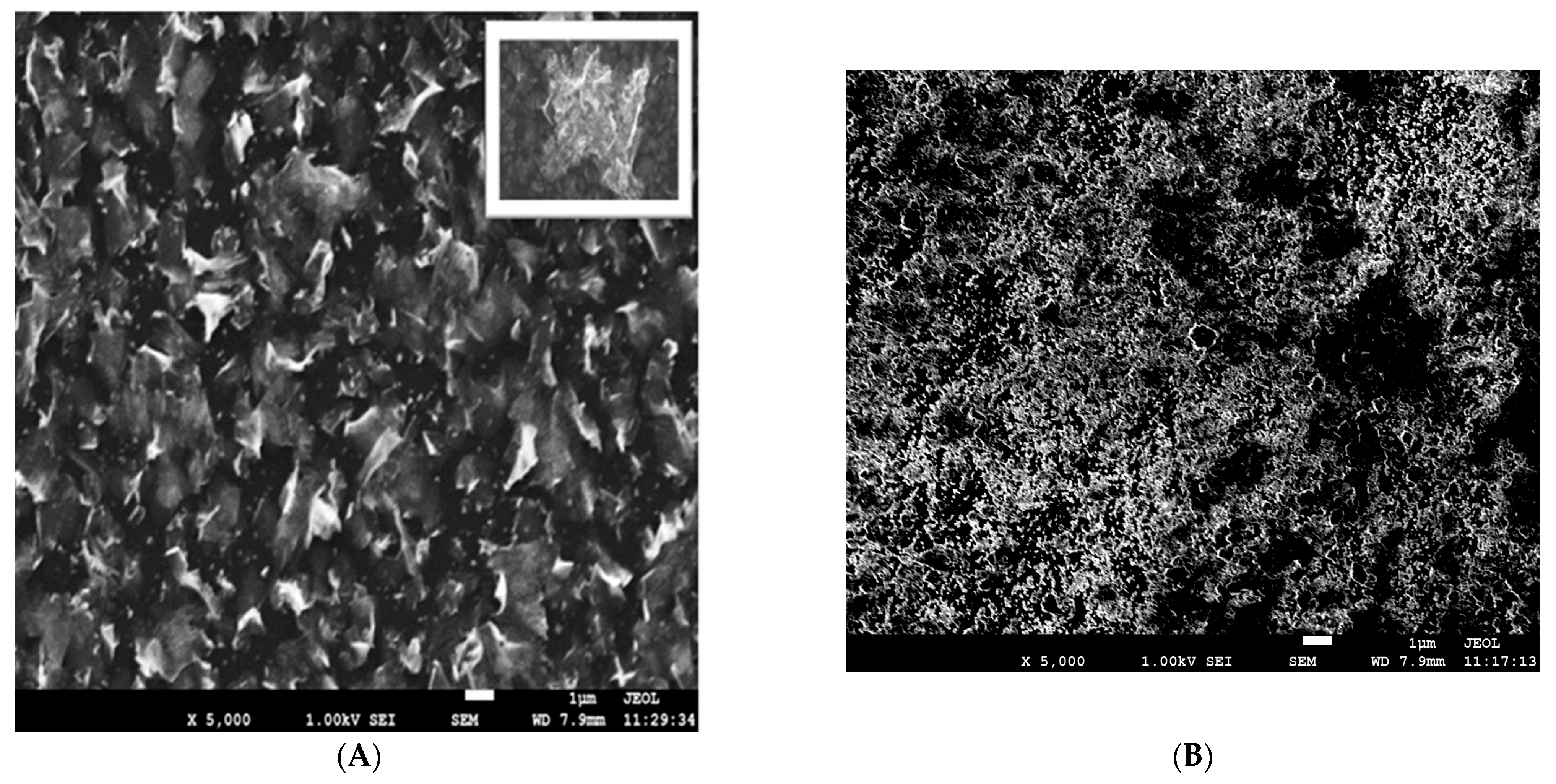 Chemosensors 13 00369 g001