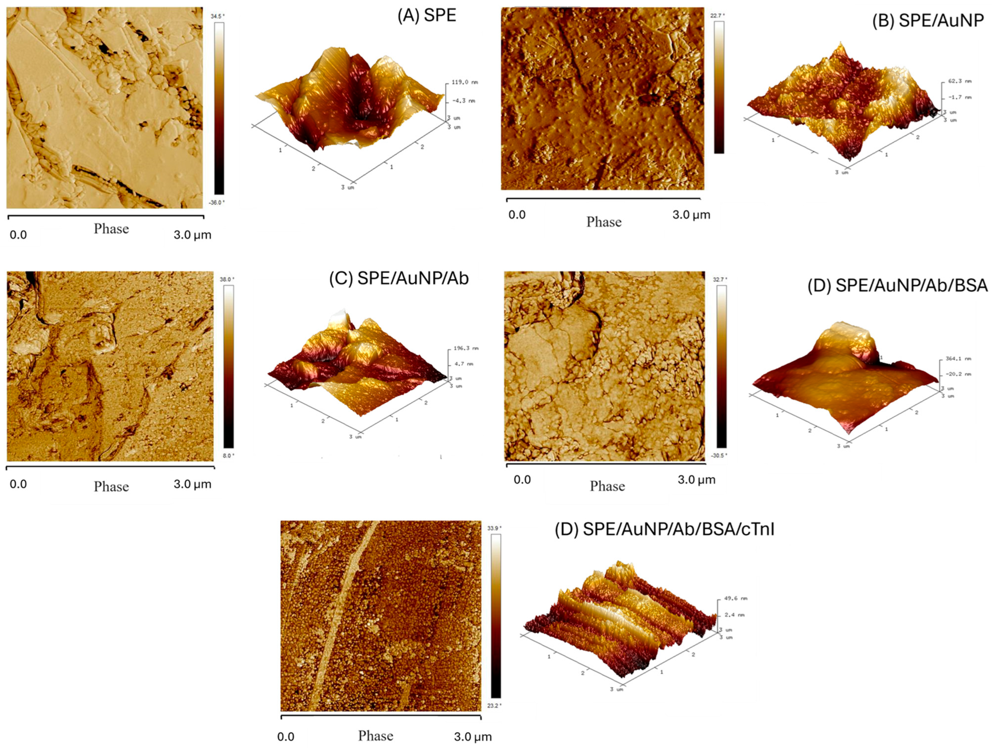 Chemosensors 13 00383 g002 Chemosensors 13 00383 g002