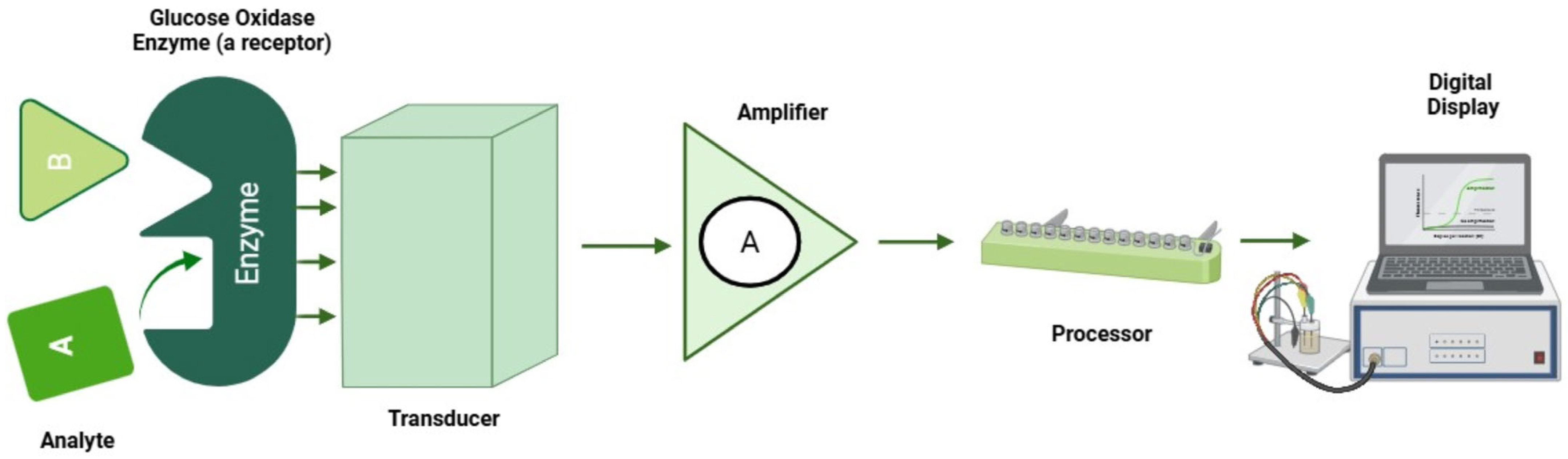 Chemosensors 13 00385 g005 Chemosensors 13 00385 g005