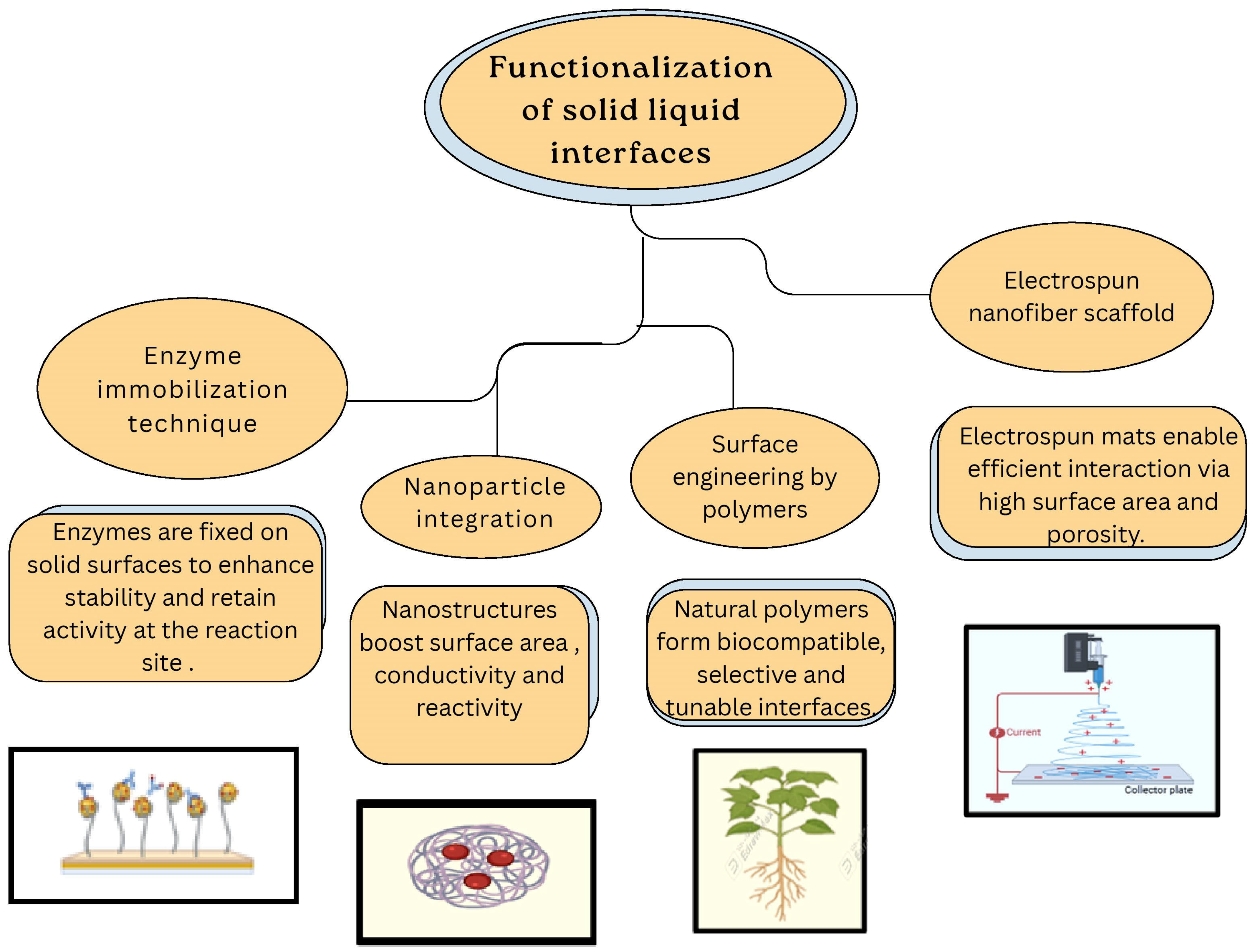 Chemosensors 13 00385 g008 Chemosensors 13 00385 g008