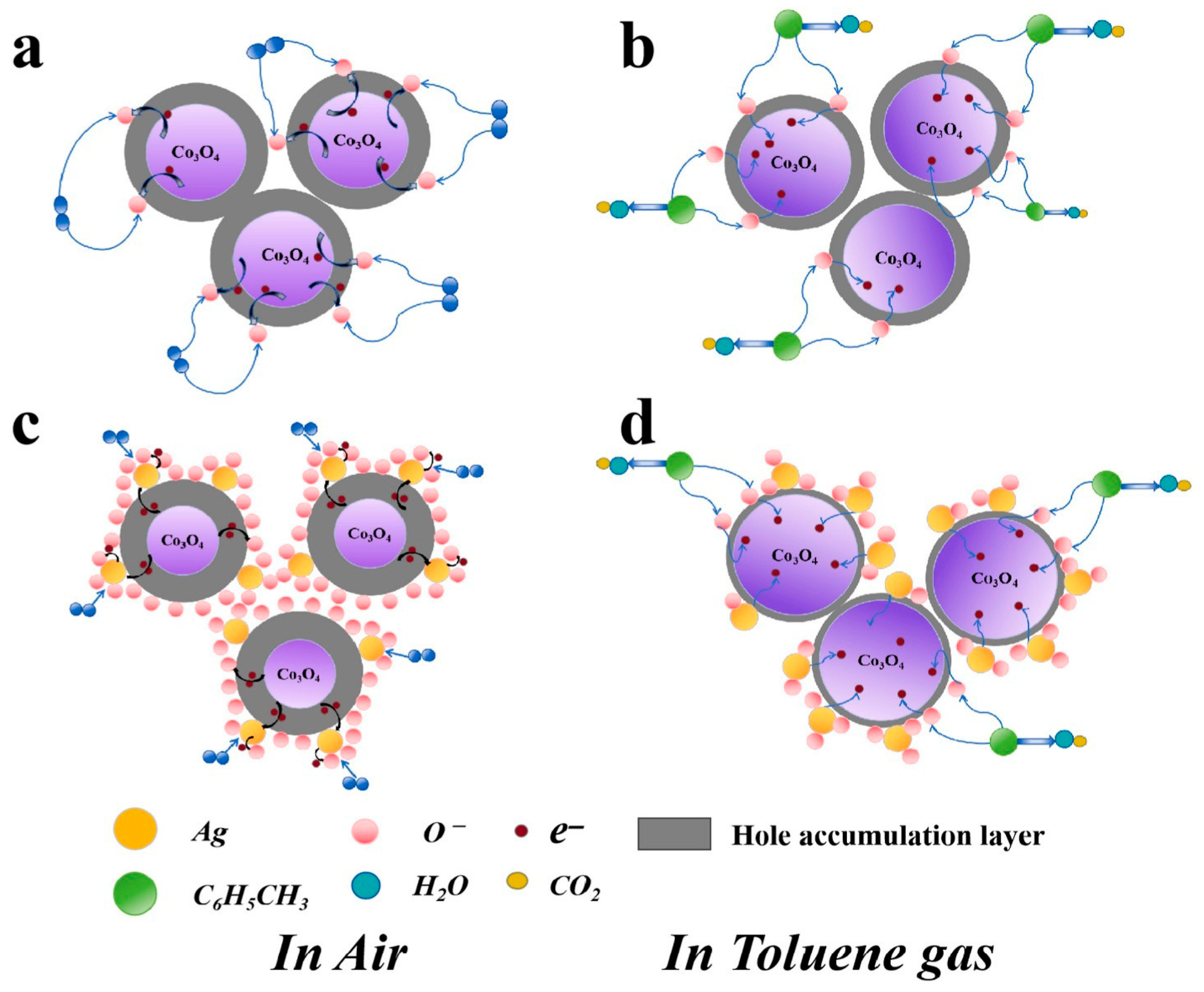 Chemosensors 13 00386 g005 Chemosensors 13 00386 g005