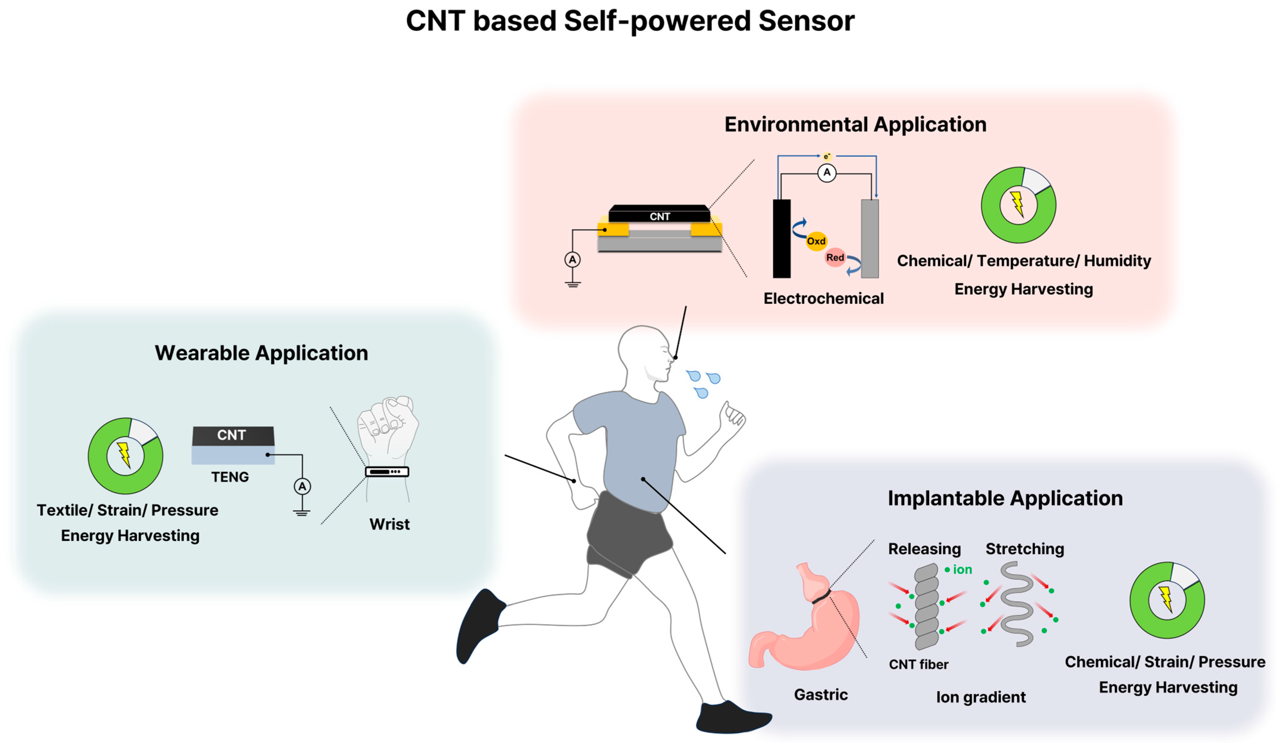 Chemosensors 13 00388 g001