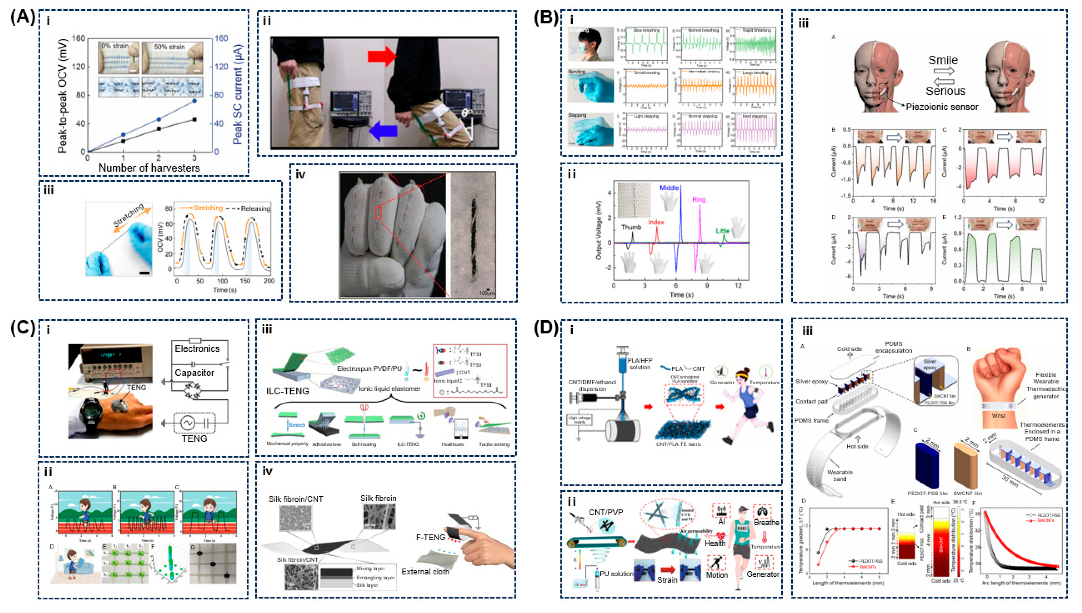 Chemosensors 13 00388 g004