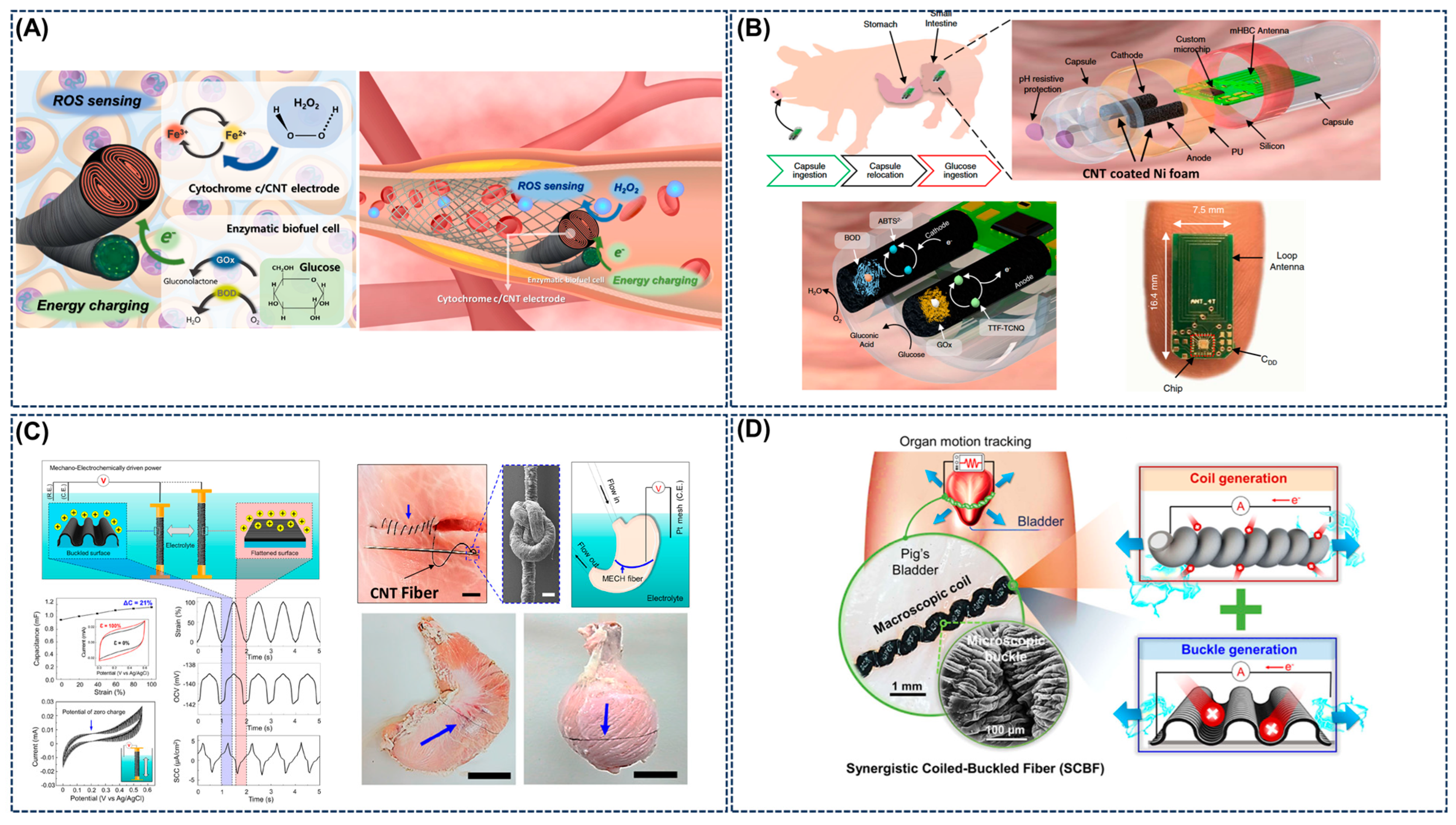 Chemosensors 13 00388 g005