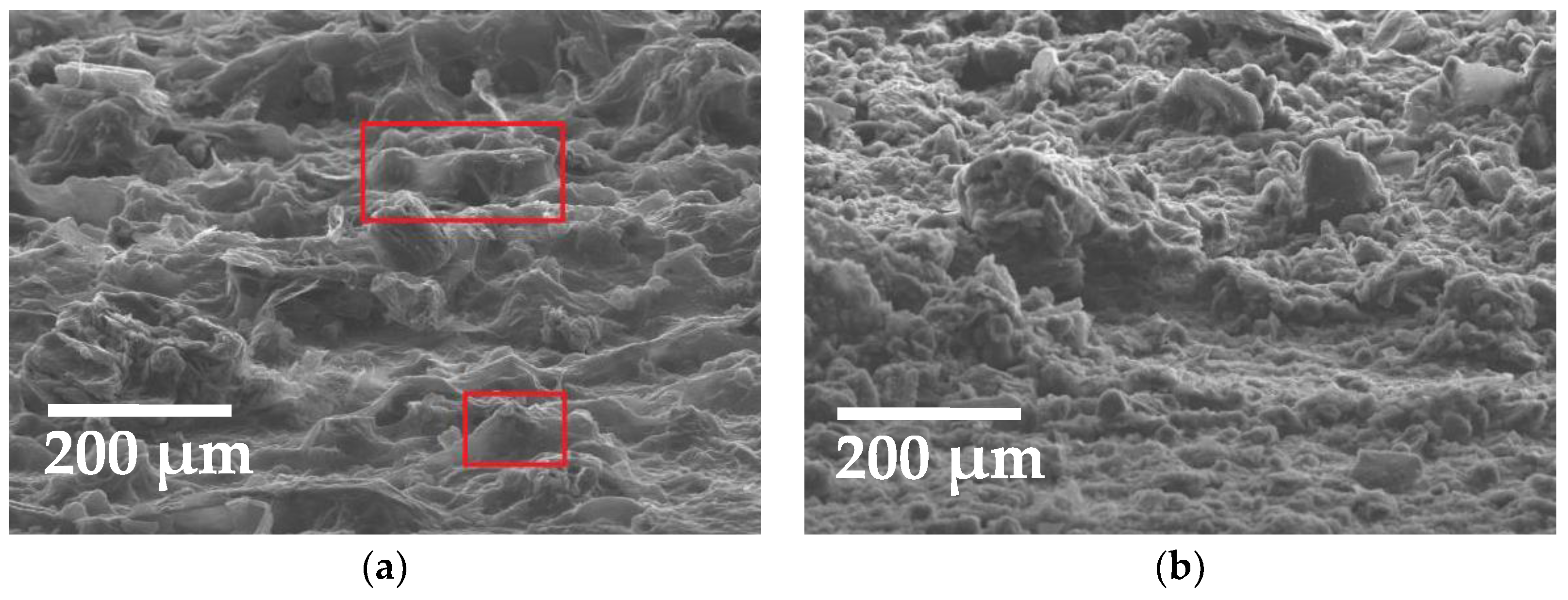 Chemosensors 13 00389 g007
