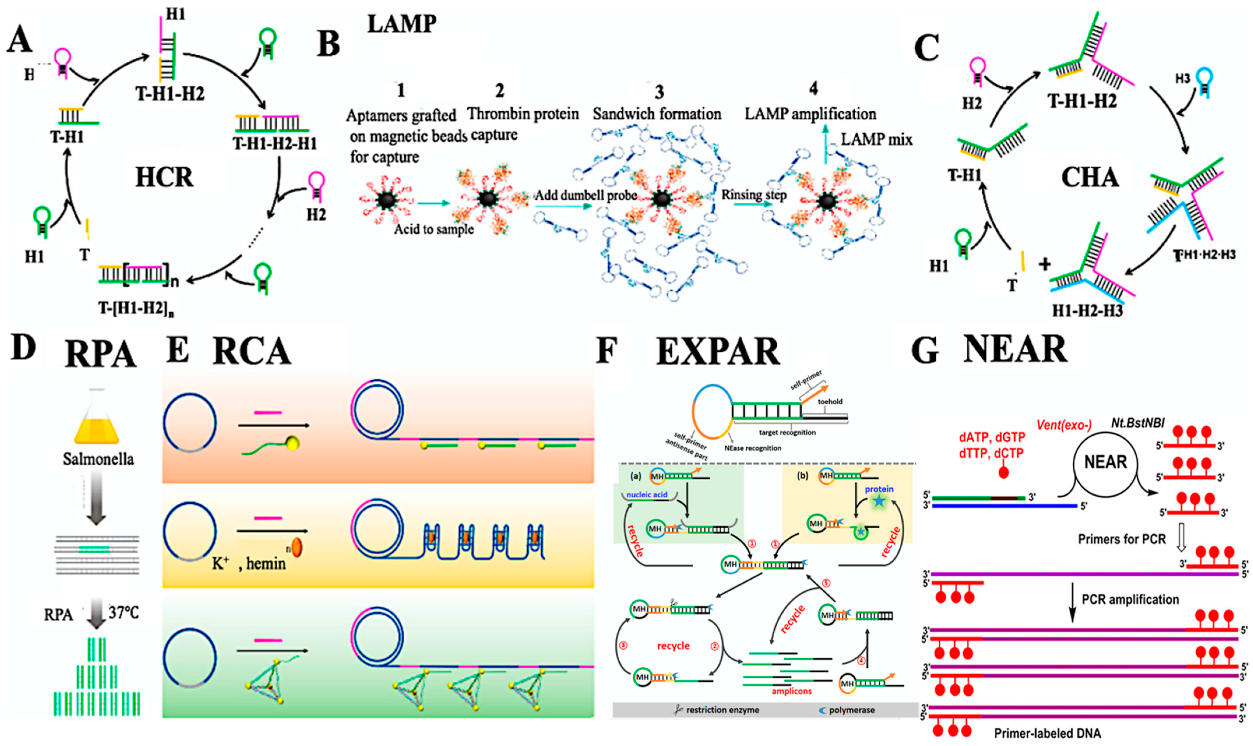 Chemosensors 13 00393 g003