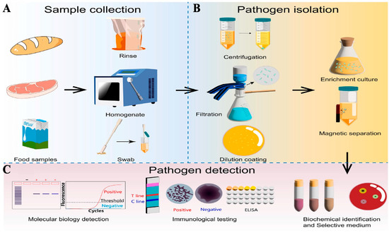 A Comprehensive Review of Non-Destructive Monitoring of Food