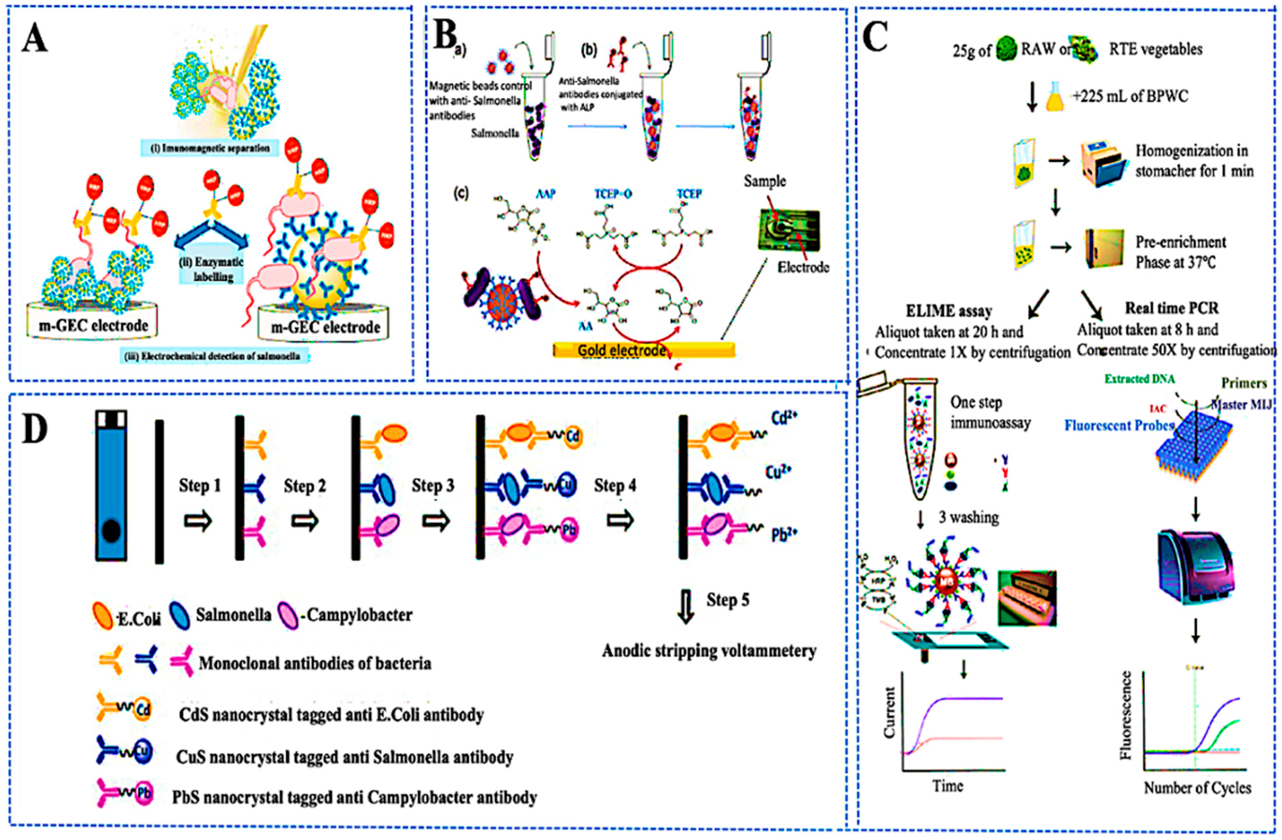 Chemosensors 13 00393 g005