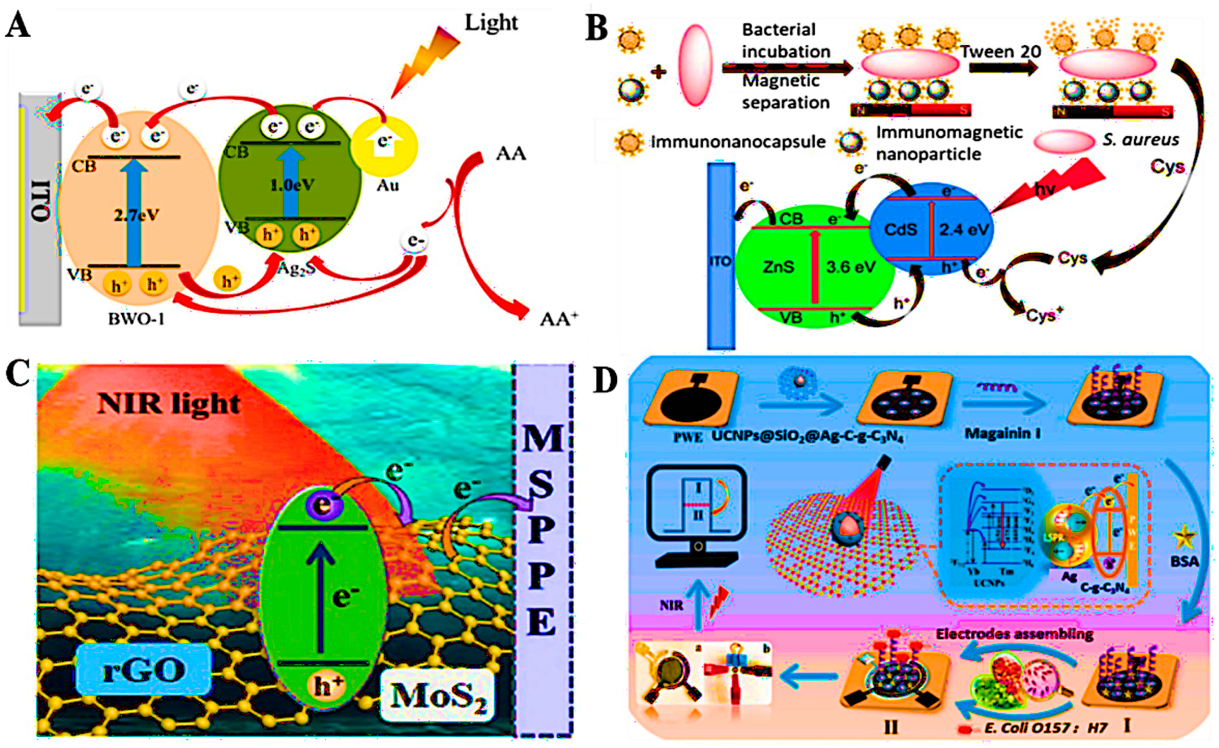 Chemosensors 13 00393 g006