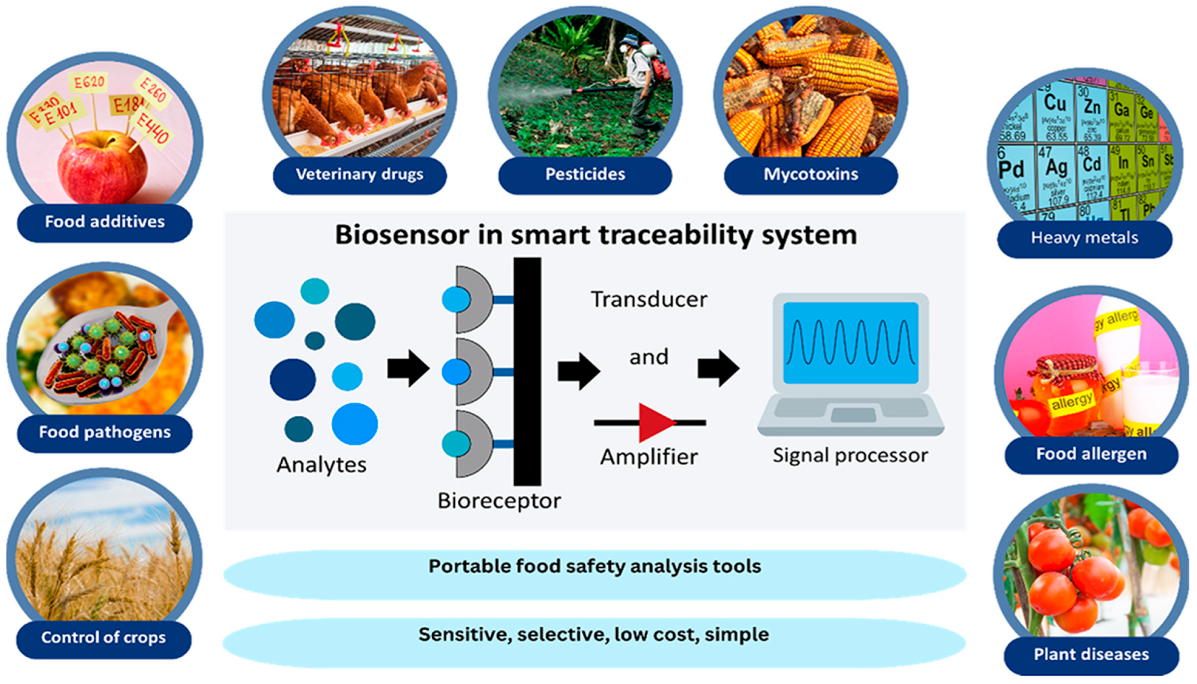 Chemosensors 13 00393 g007