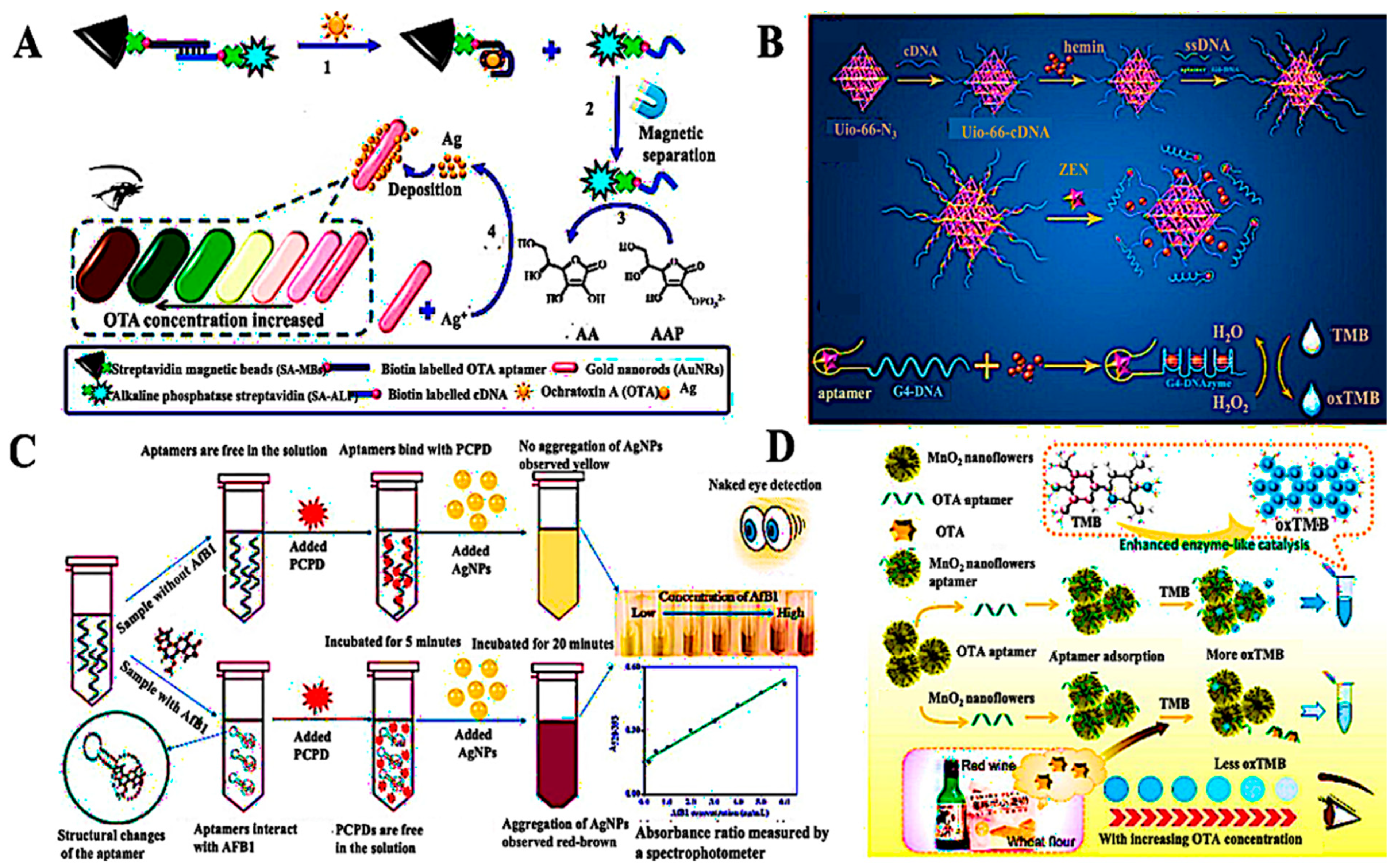 Chemosensors 13 00393 g008