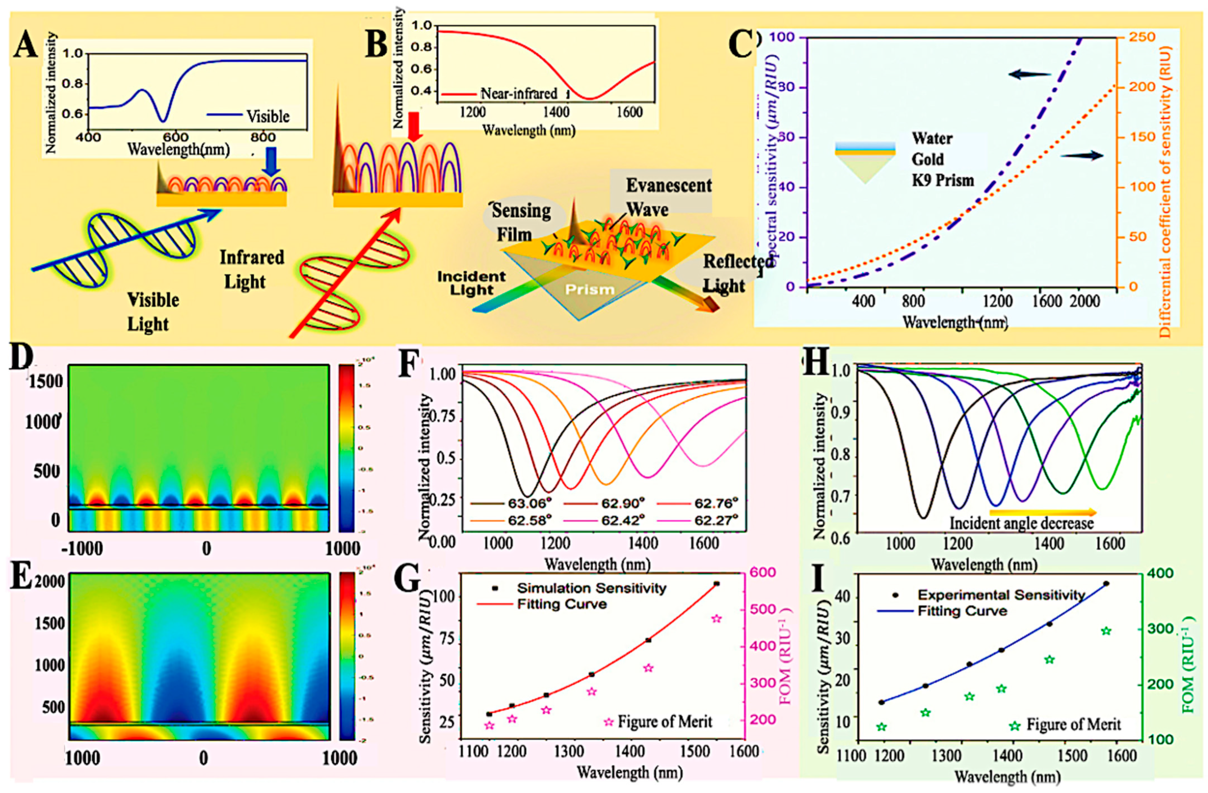Chemosensors 13 00393 g009