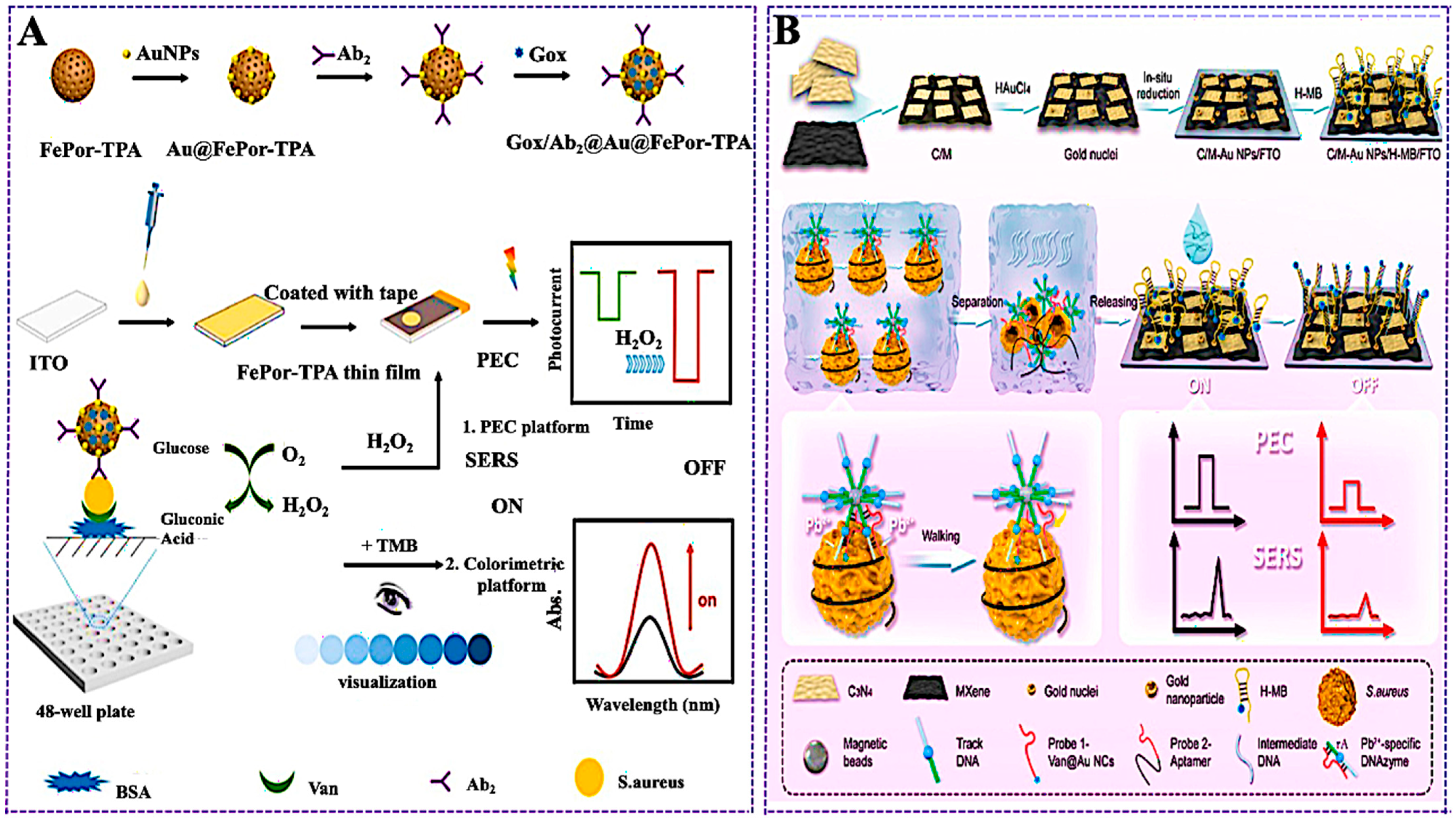 Chemosensors 13 00393 g011