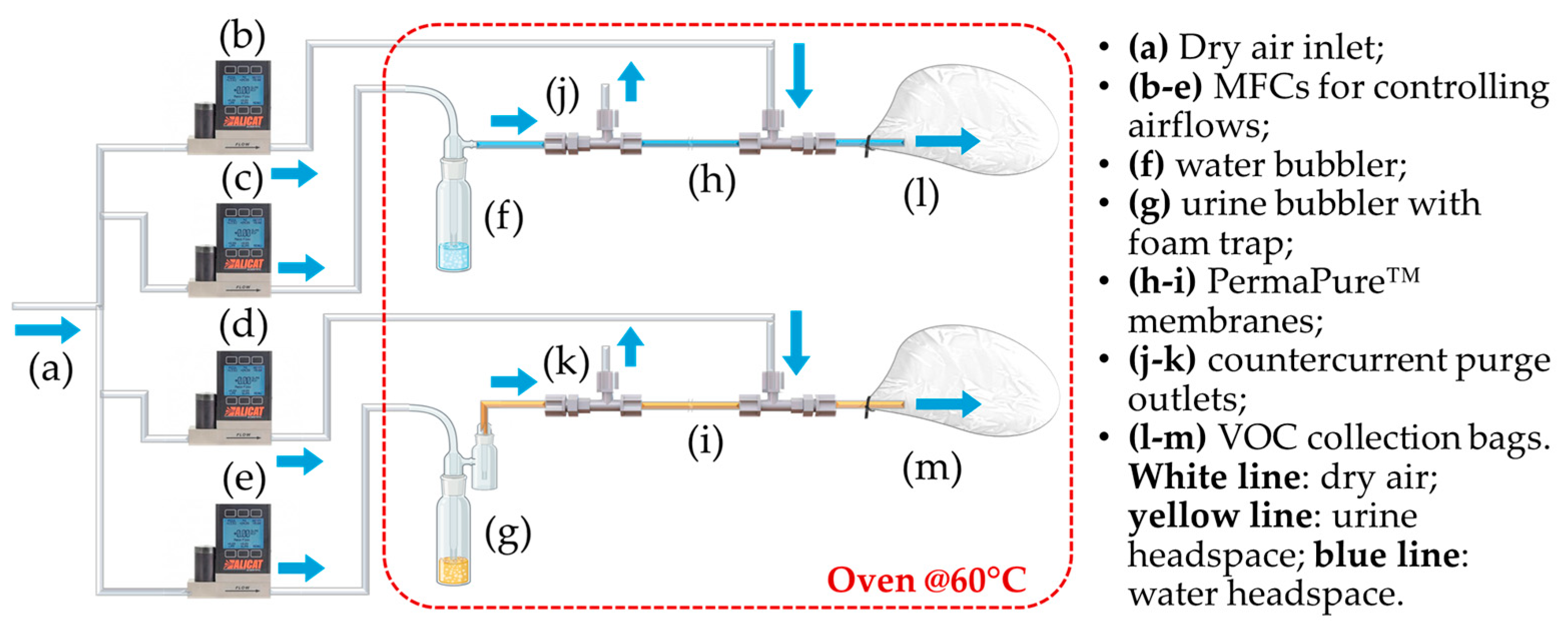 Chemosensors 13 00395 g001 Chemosensors 13 00395 g001