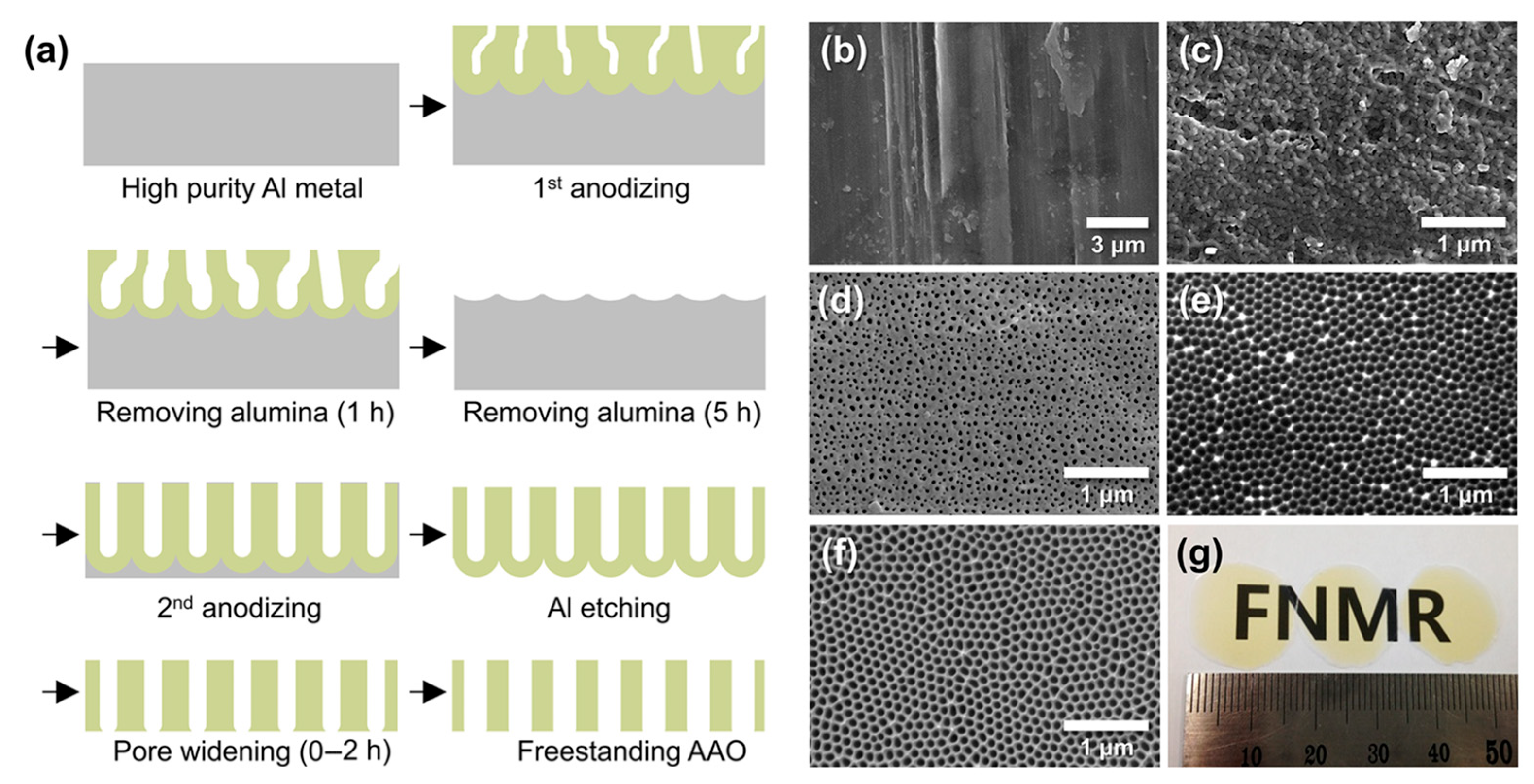 Chemosensors 13 00397 g003