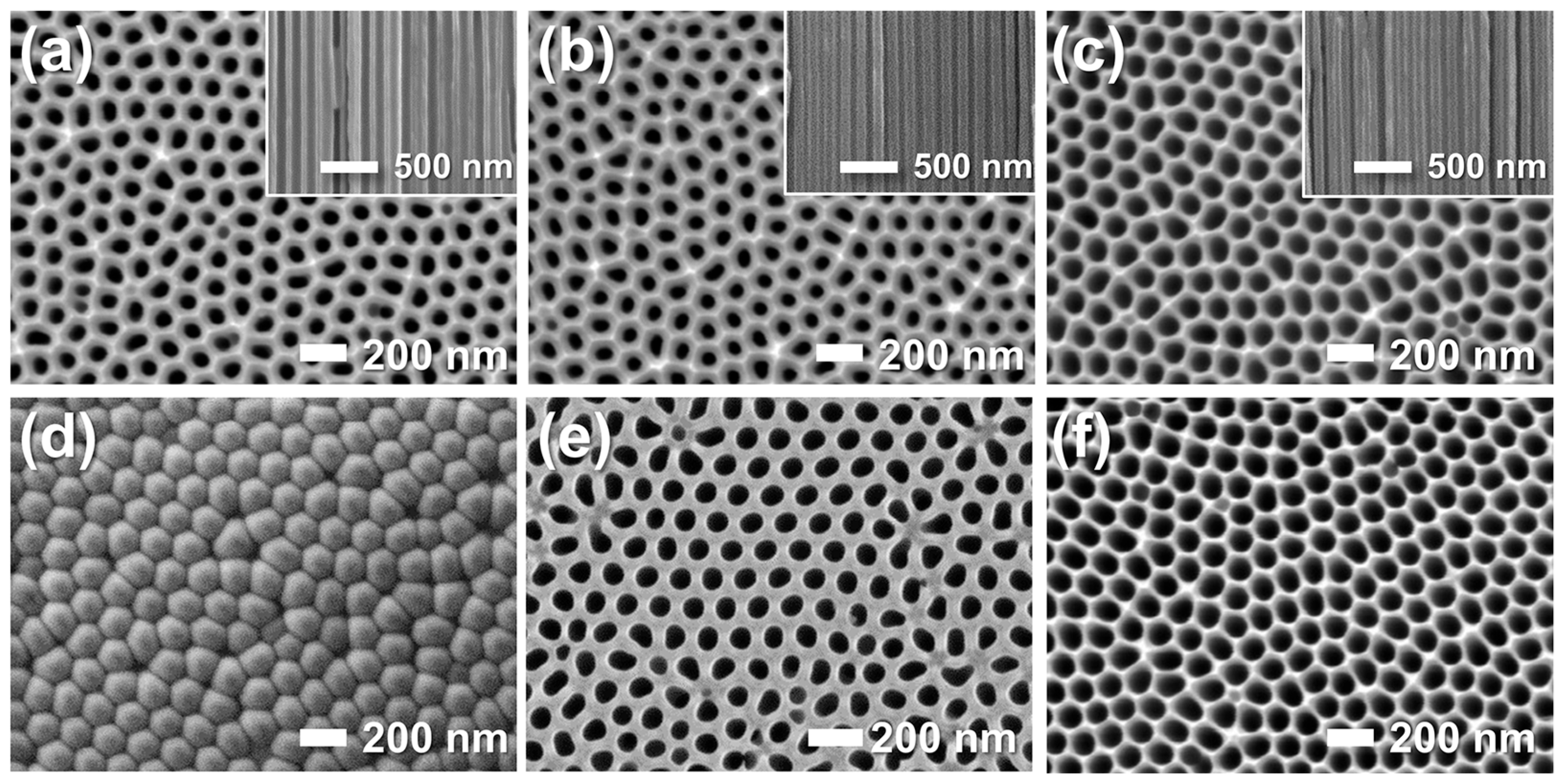 Chemosensors 13 00397 g004