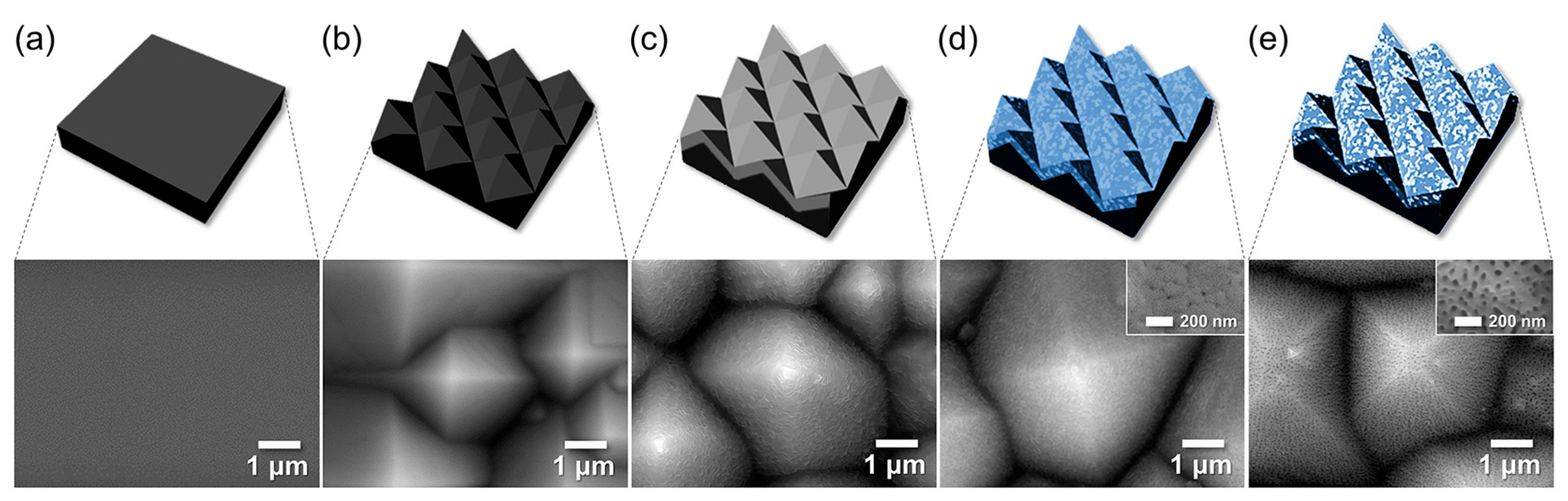 Chemosensors 13 00397 g007