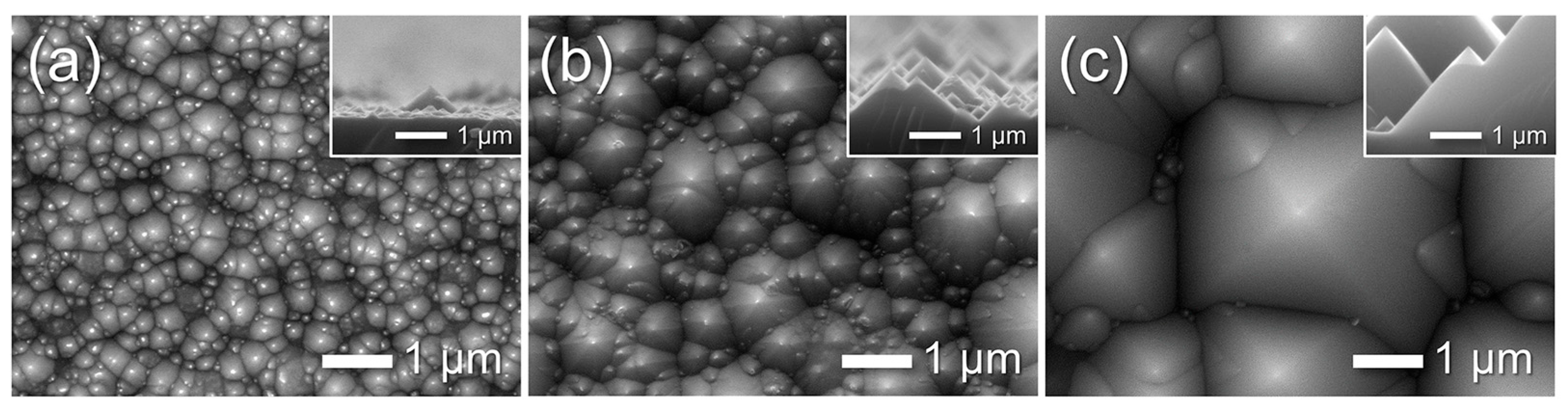 Chemosensors 13 00397 g008