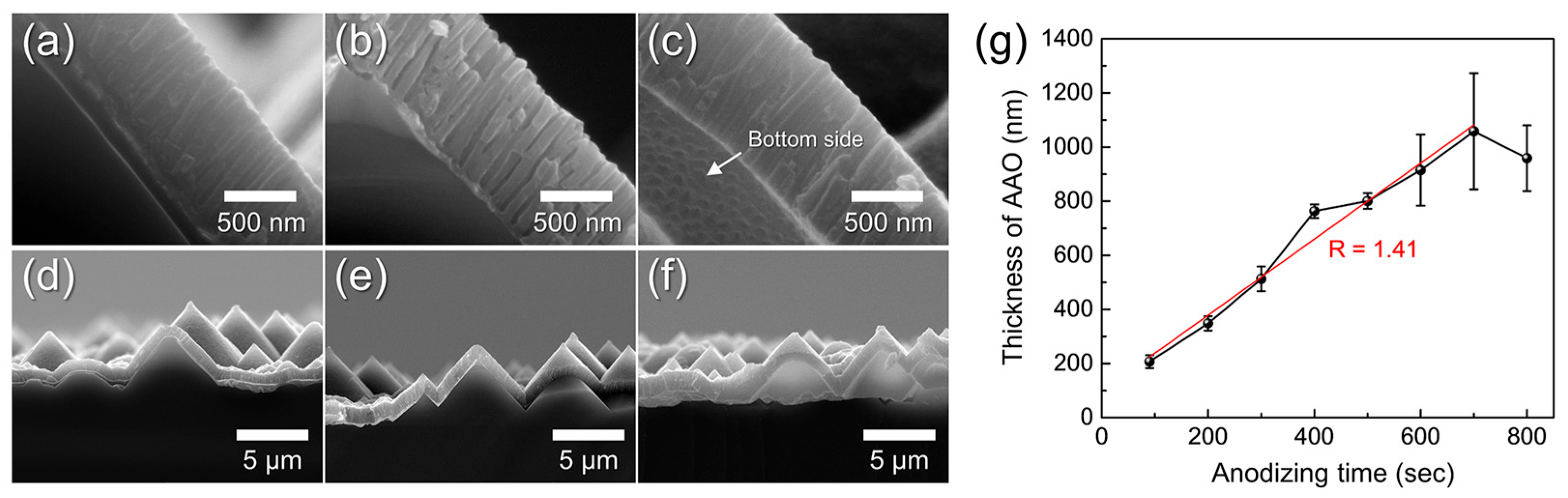 Chemosensors 13 00397 g009
