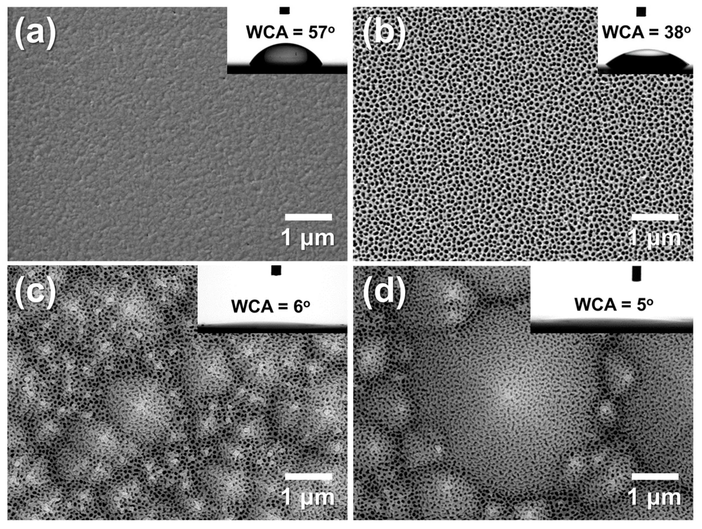 Chemosensors 13 00397 g011