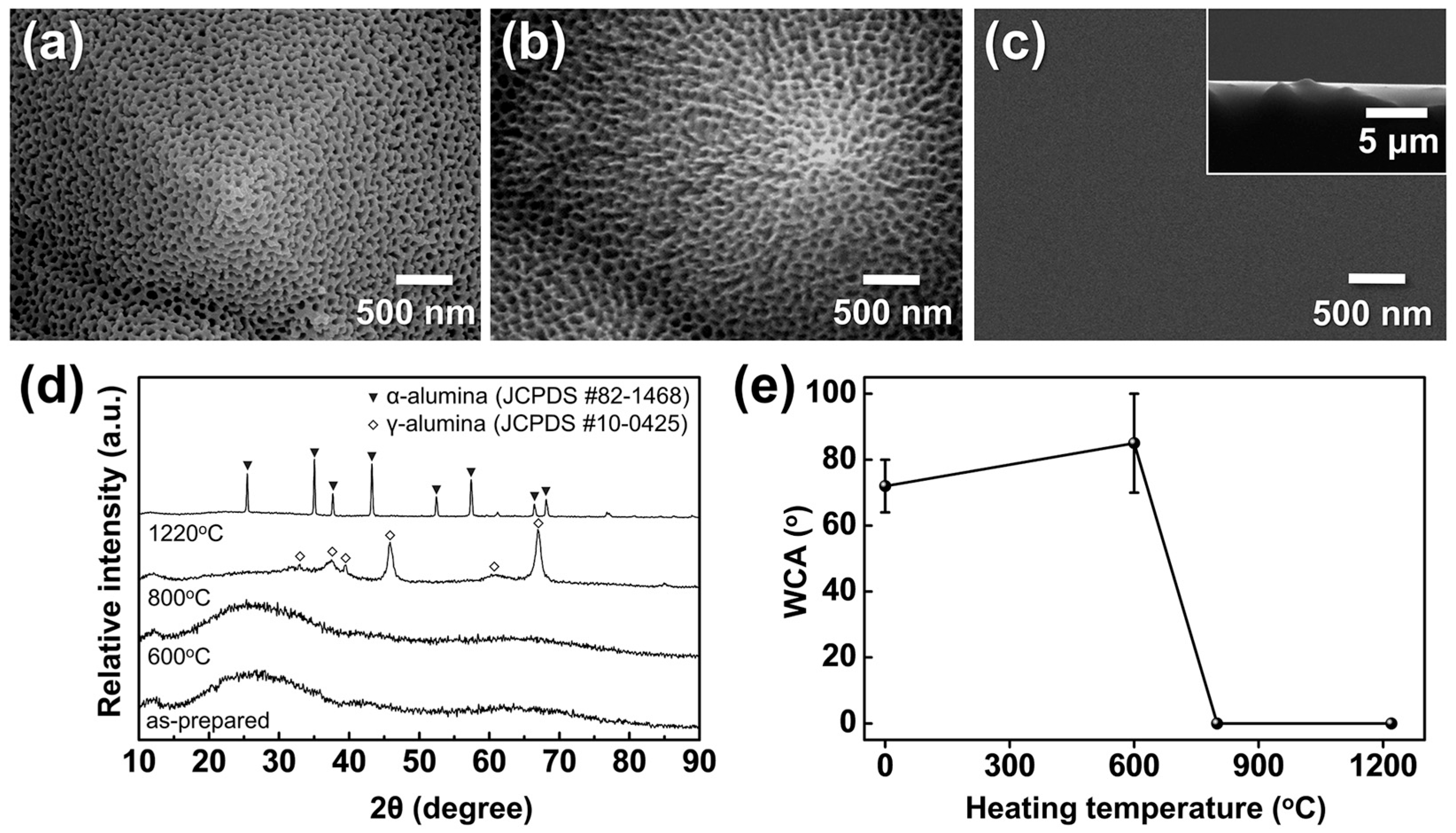 Chemosensors 13 00397 g013