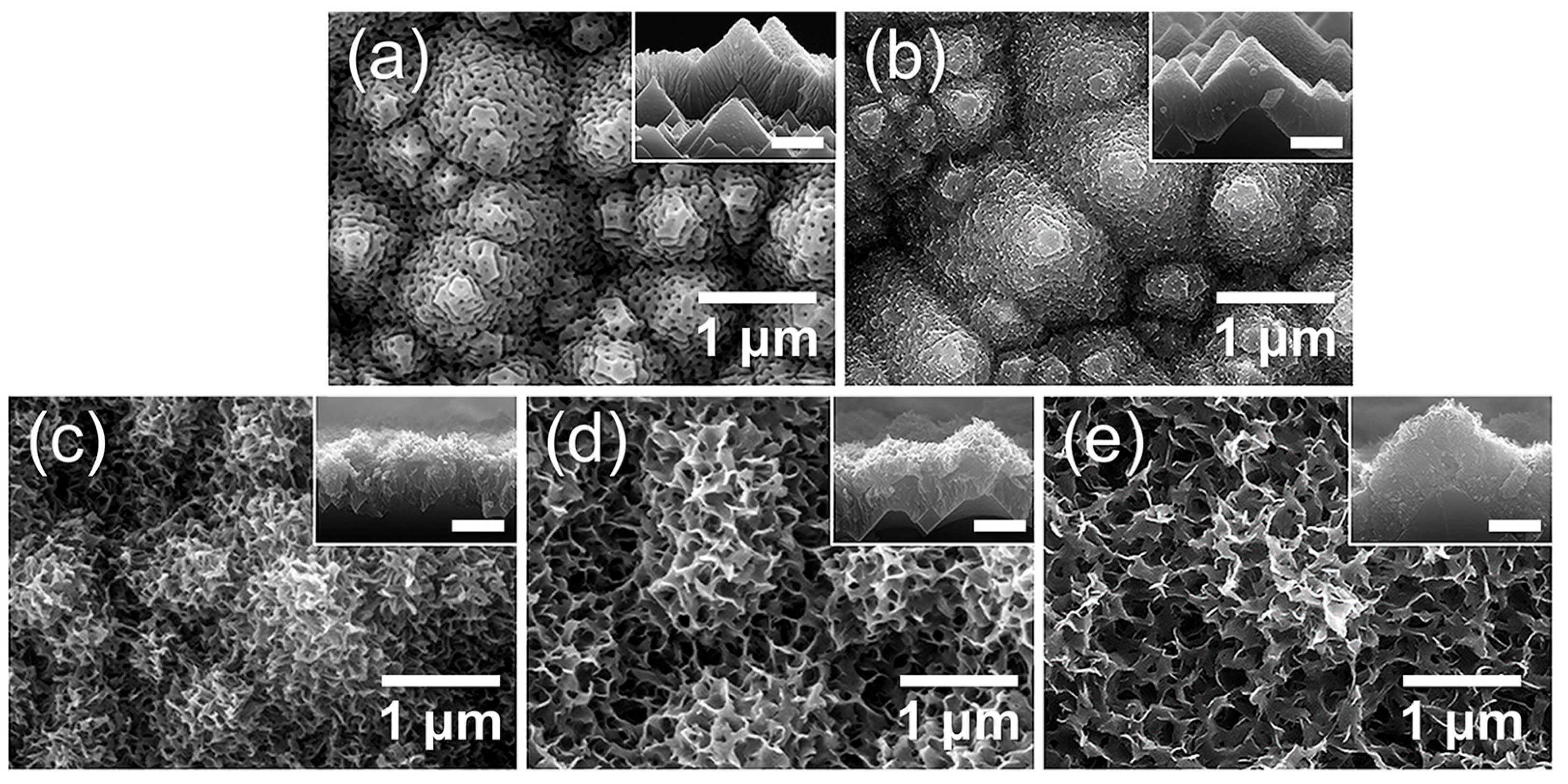 Chemosensors 13 00397 g014