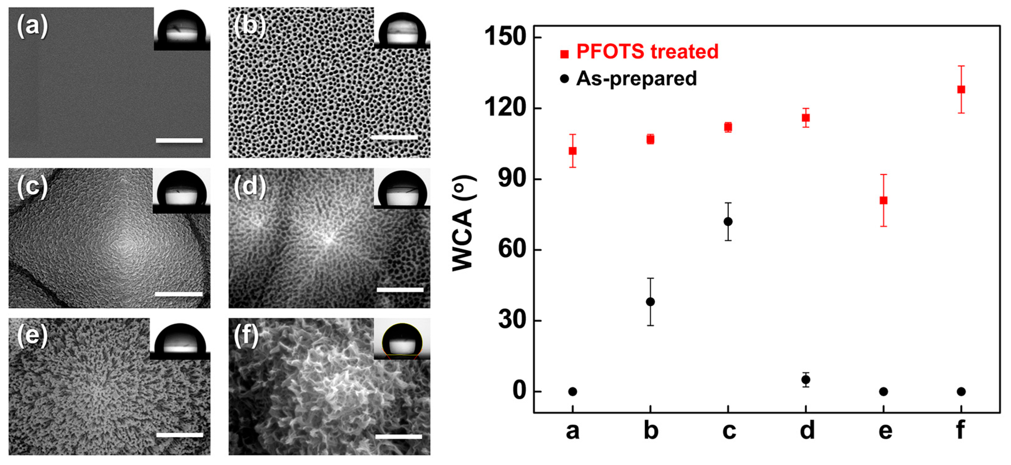 Chemosensors 13 00397 g017