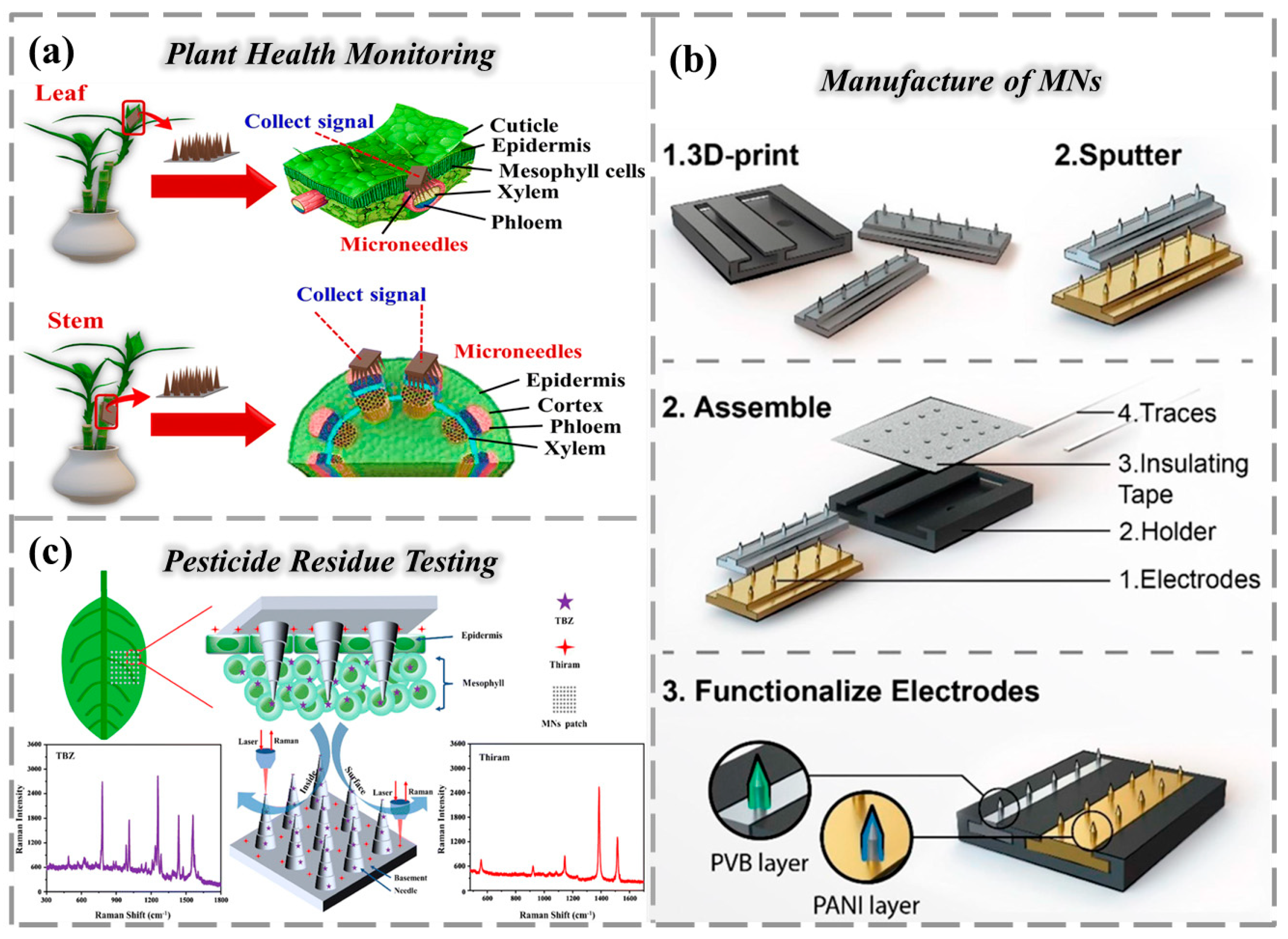 Chemosensors 13 00399 g004 Chemosensors 13 00399 g004