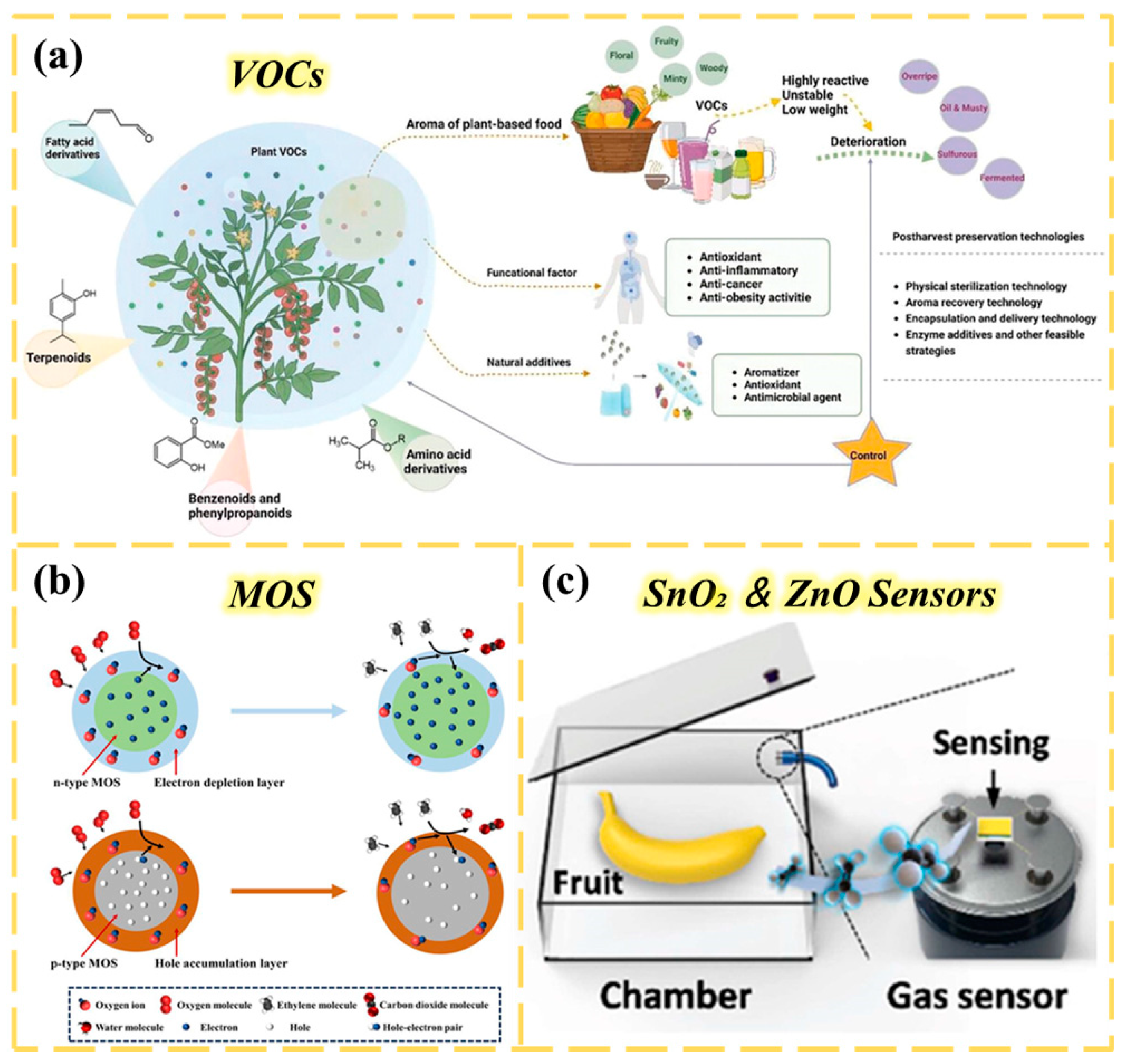 Chemosensors 13 00399 g009 Chemosensors 13 00399 g009
