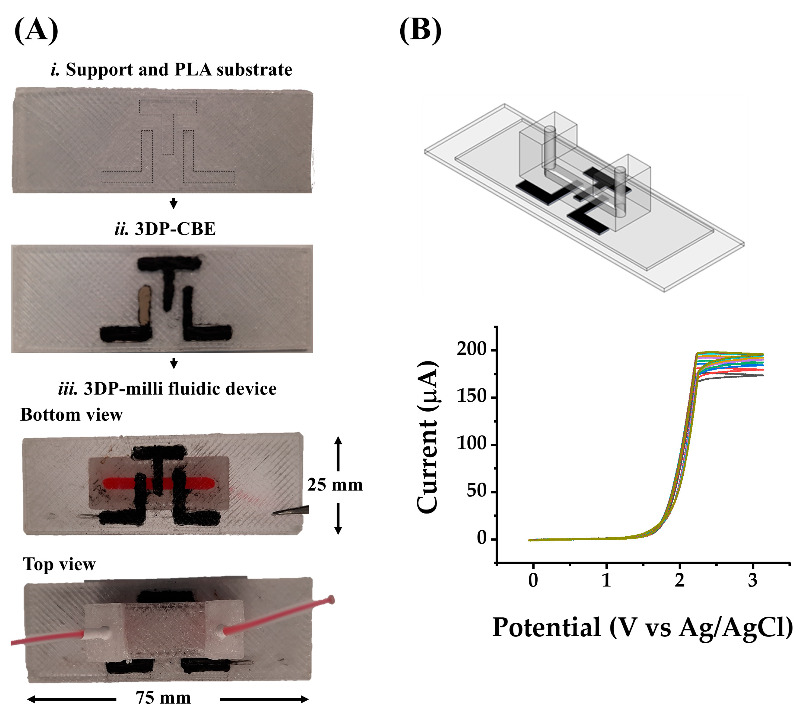 Chemosensors 13 00401 g004