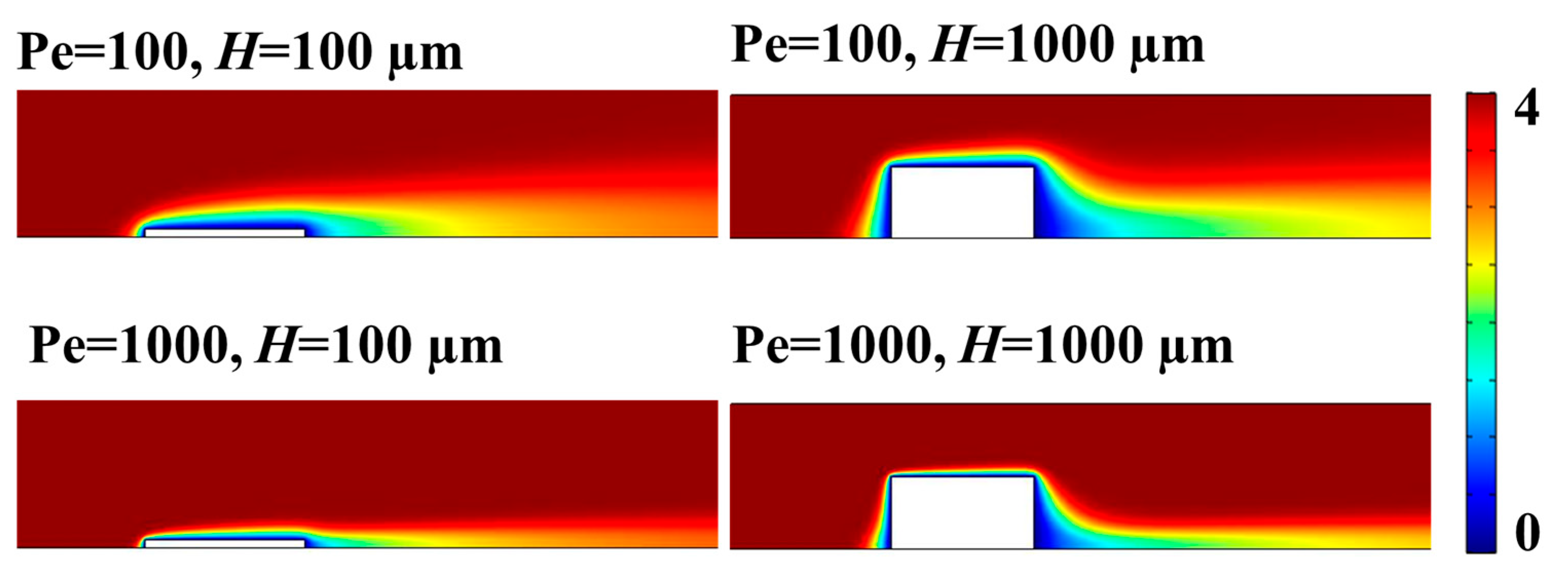 Chemosensors 13 00401 g006