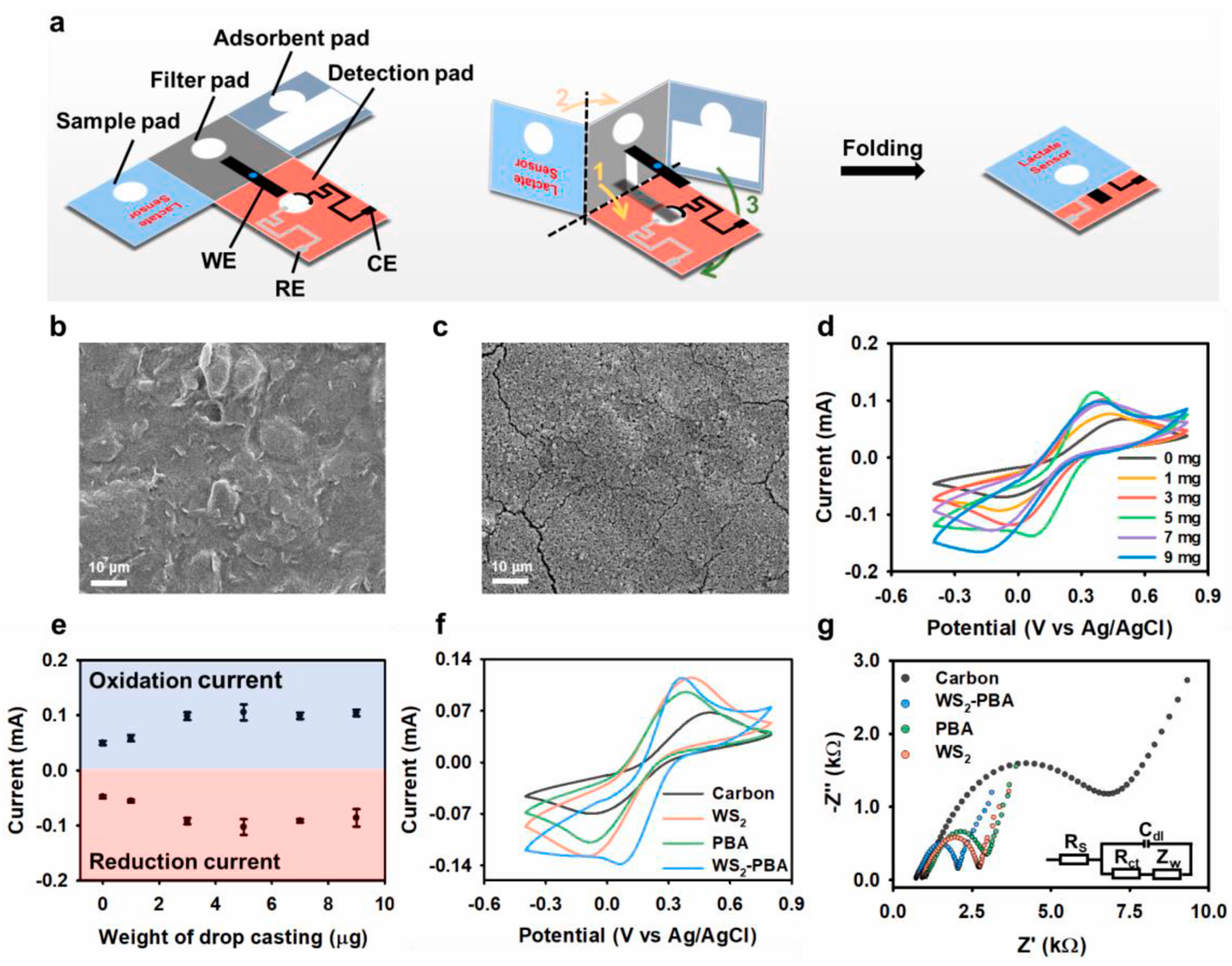 Chemosensors 13 00402 g005