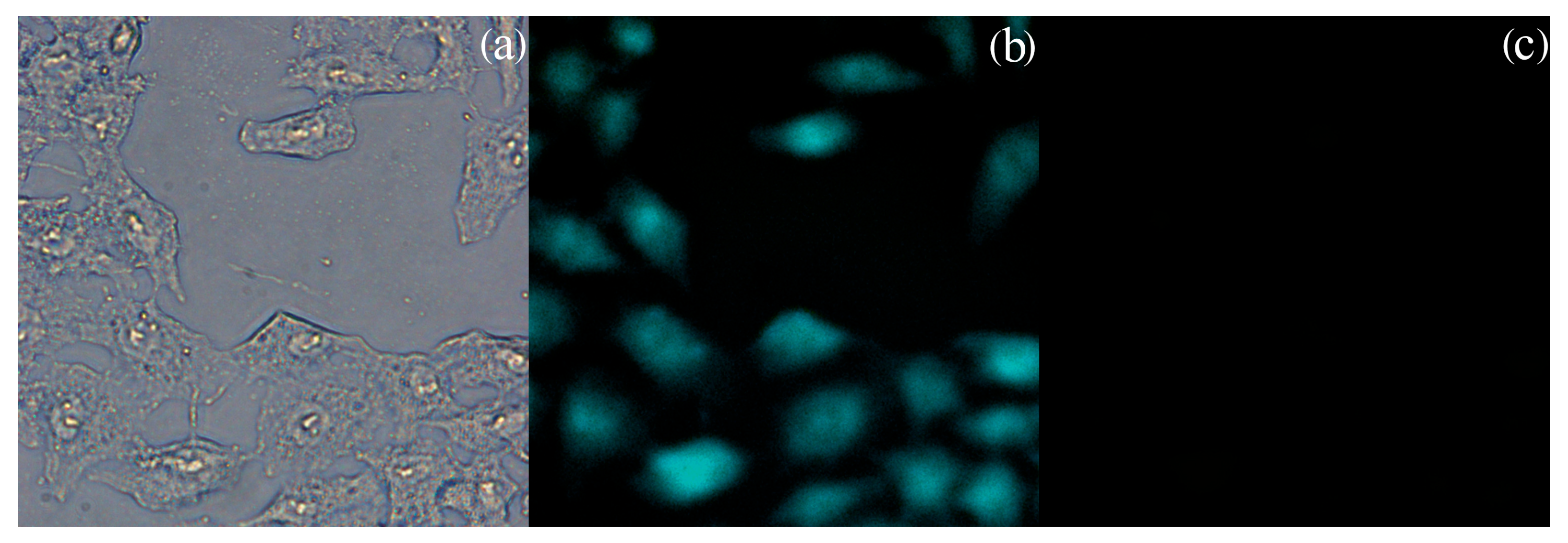 Chemosensors 13 00403 g008