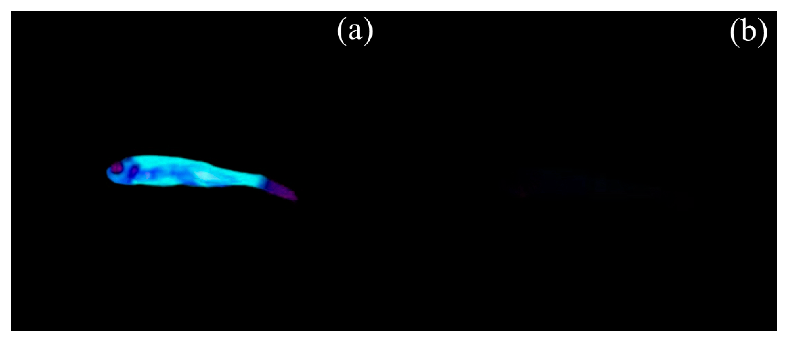 Chemosensors 13 00403 g009